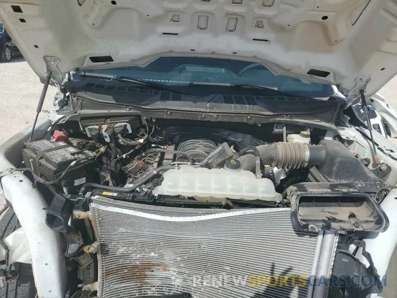 11 fotografías del automóvil dañado 1FTEW2K53RKE85972 FORD F150 STX 2024