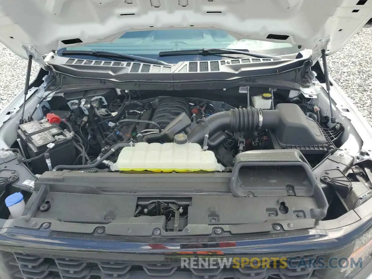 12 fotografías del automóvil dañado 1FTEW2K58RKE25993 FORD F150 STX 2024
