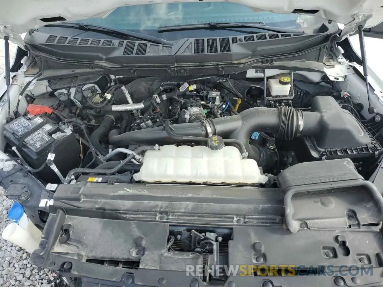11 fotografías del automóvil dañado 1FTEW2KP2RKD52847 FORD F150 STX 2024