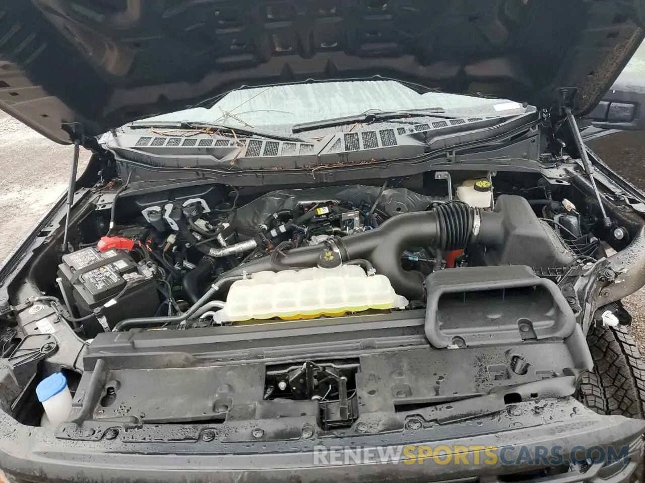 11 fotografías del automóvil dañado 1FTEW2LP1RFB39332 FORD F150 STX 2024