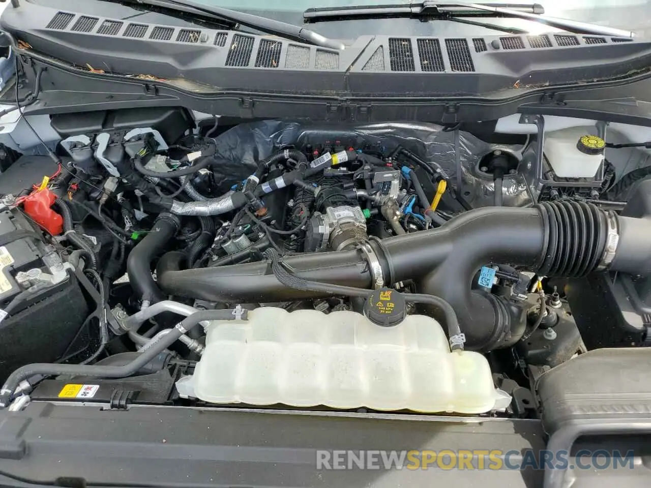 11 fotografías del automóvil dañado 1FTEW2LP9RKD03515 FORD F150 STX 2024