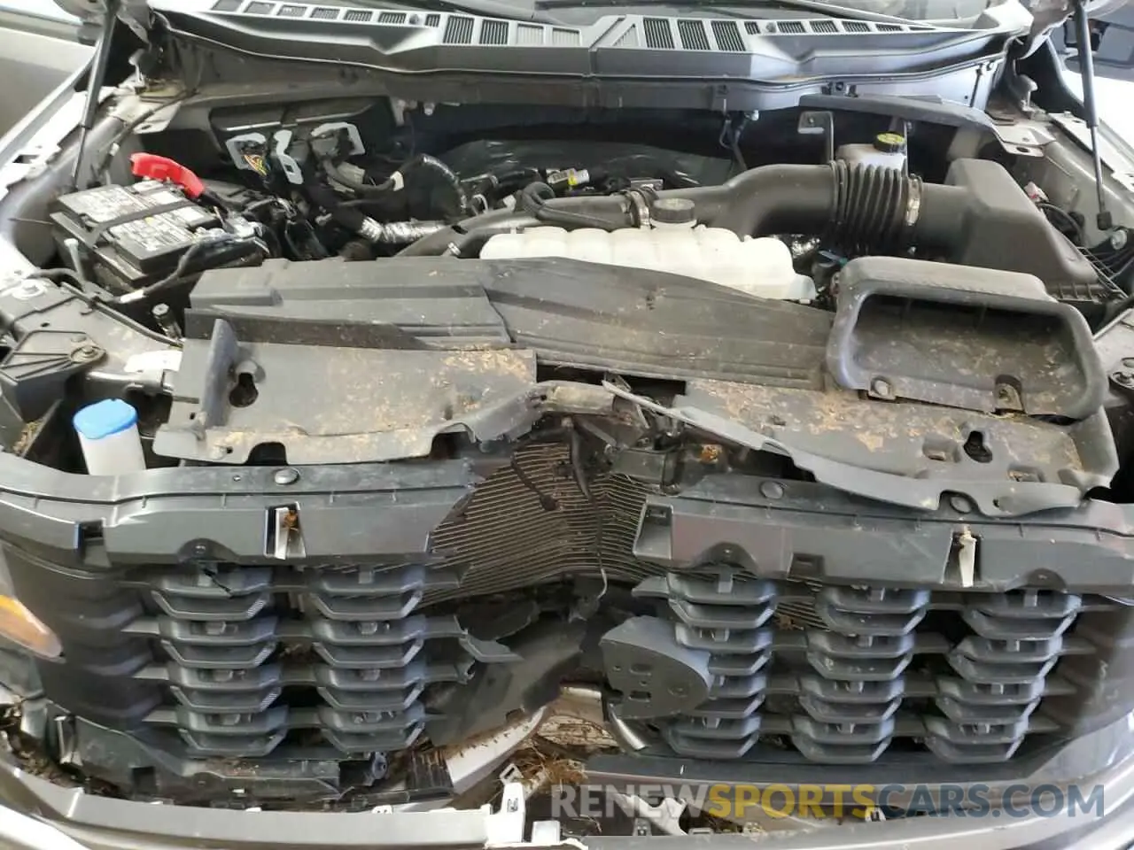 11 fotografías del automóvil dañado 1FTEX2KP9RKD32351 FORD F150 STX 2024