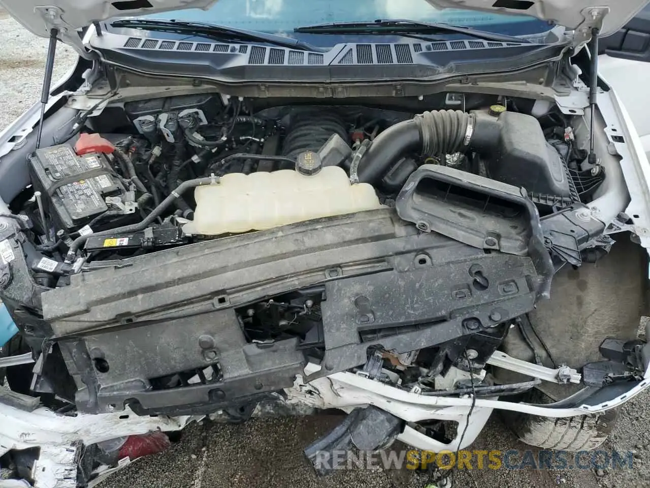 11 fotografías del automóvil dañado 1FTFW2L58RFA59576 FORD F150 STX 2024
