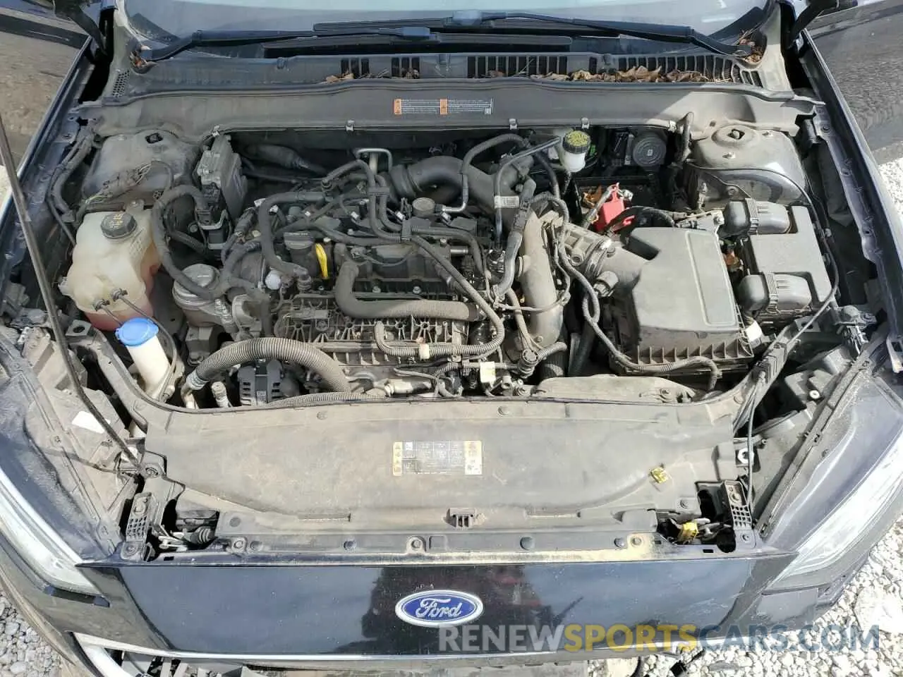 11 fotografías del automóvil dañado 3FA6P0CD3KR116452 FORD FUSION 2019