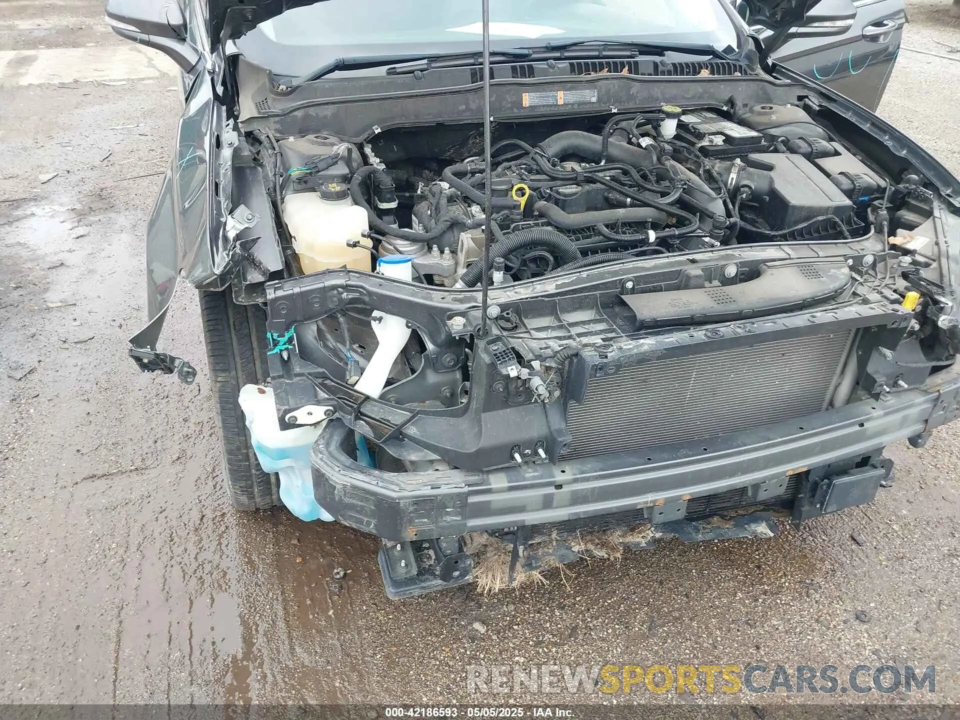6 fotografías del automóvil dañado 3FA6P0CD3KR259854 FORD FUSION 2019