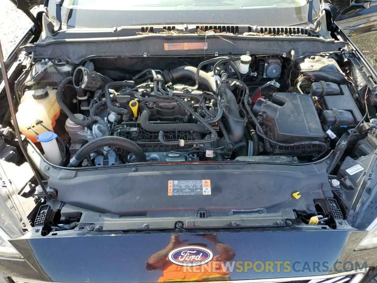 11 fotografías del automóvil dañado 3FA6P0CD9KR138486 FORD FUSION 2019