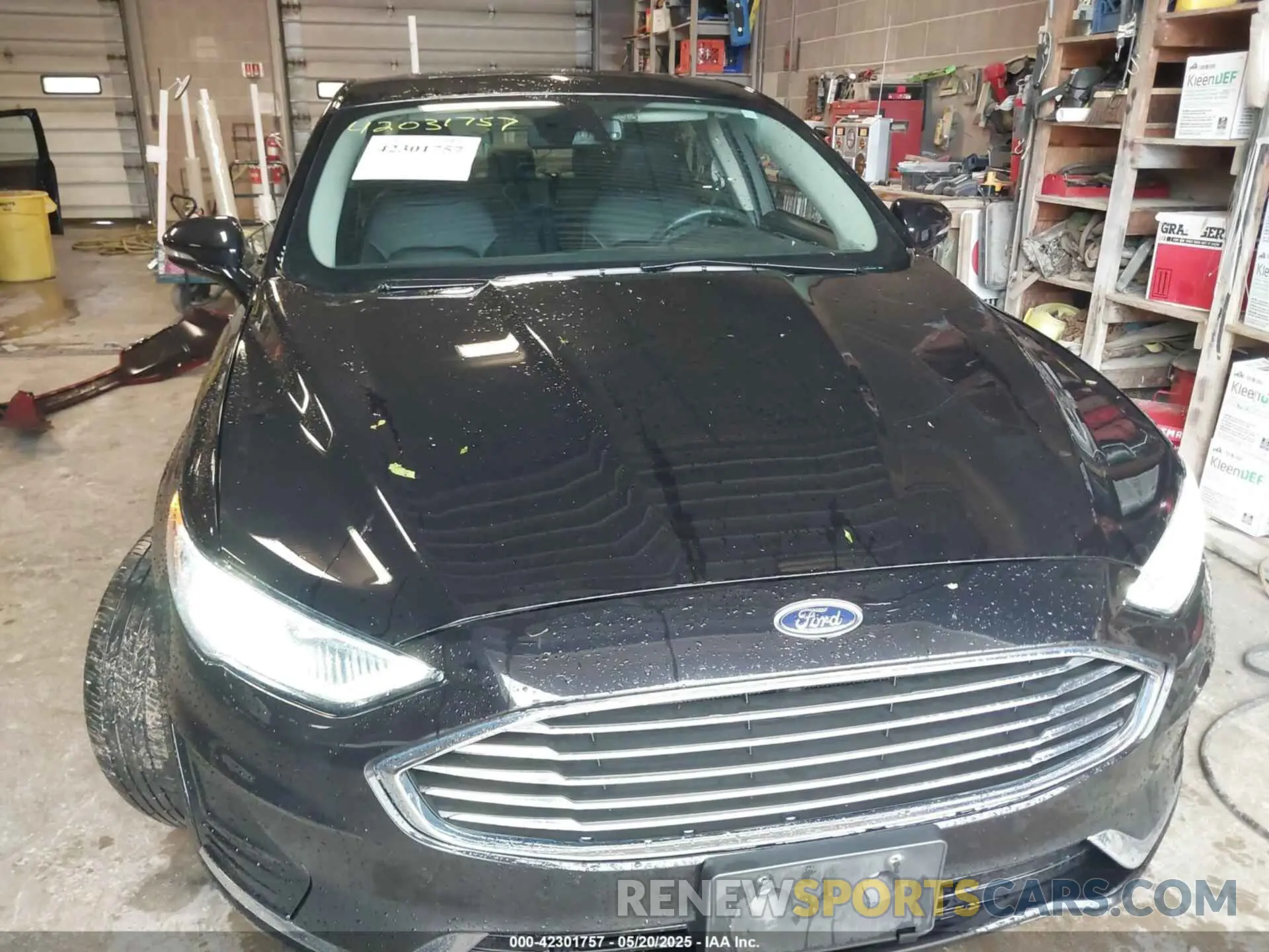 12 fotografías del automóvil dañado 3FA6P0E9XKR103075 FORD FUSION 2019
