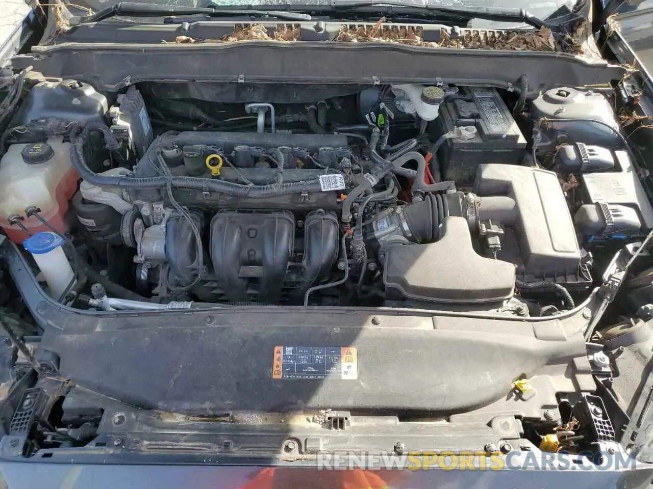 12 fotografías del automóvil dañado 3FA6P0G74KR135936 FORD FUSION 2019