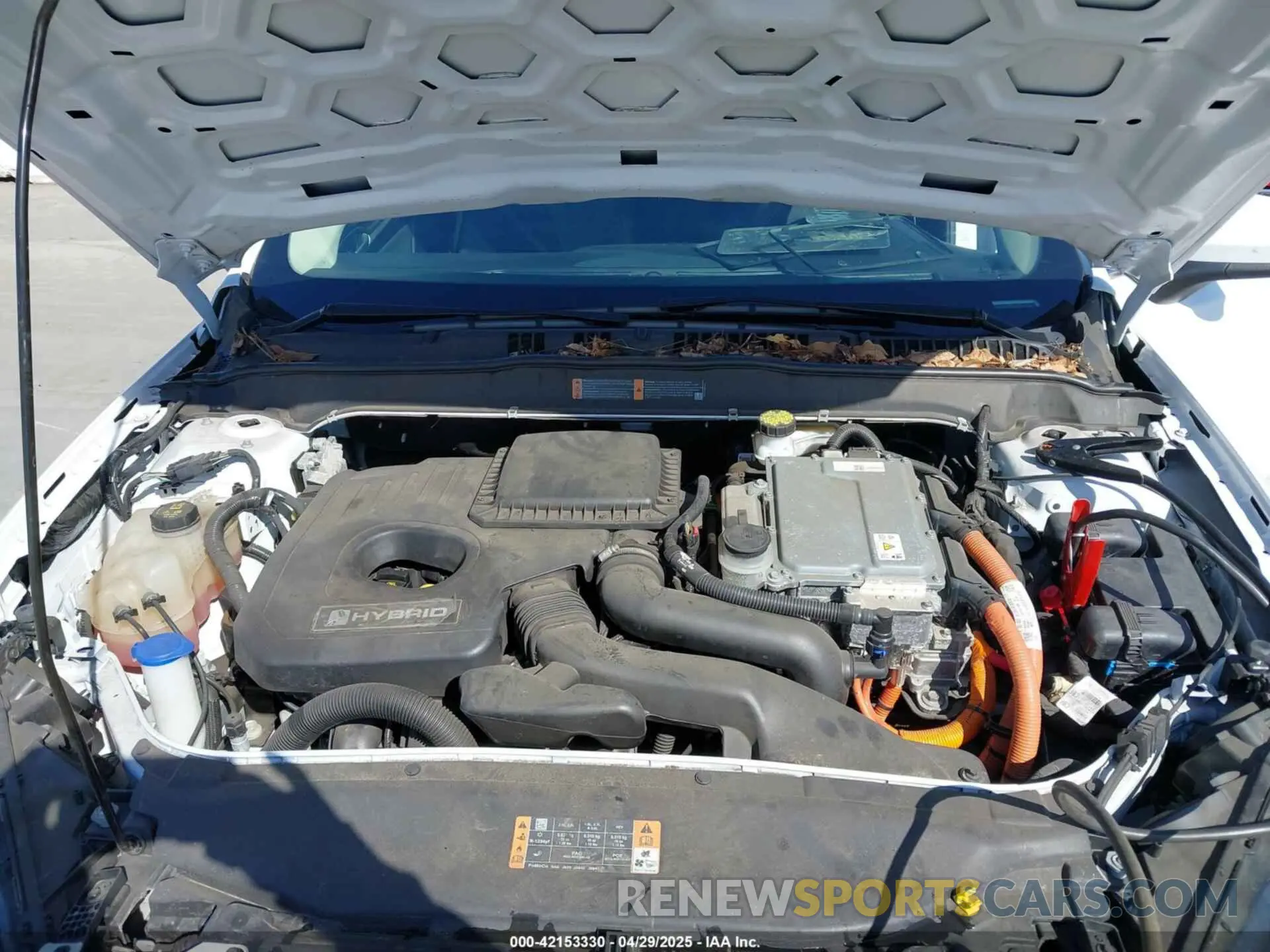 10 fotografías del automóvil dañado 3FA6P0LU9KR207824 FORD FUSION HYBRID 2019
