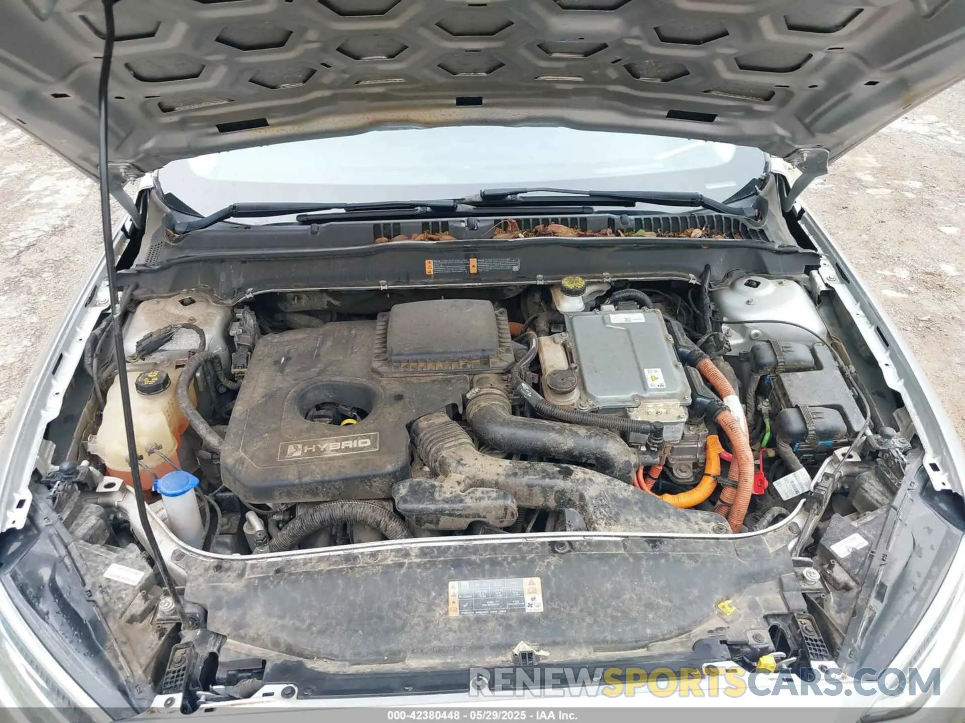 10 fotografías del automóvil dañado 3FA6P0RU4KR117407 FORD FUSION HYBRID 2019