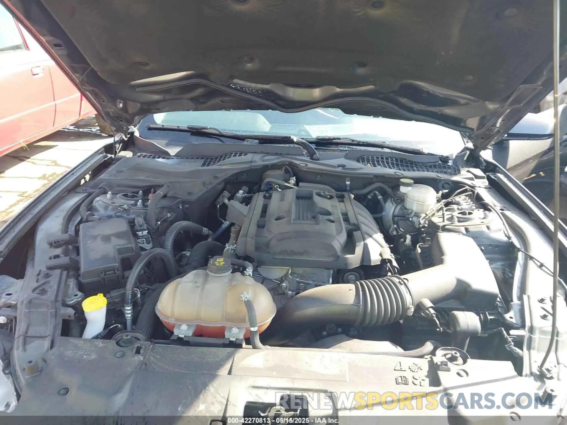 10 fotografías del automóvil dañado 1F86B8TH3K5173920 FORD MUSTANG 2019