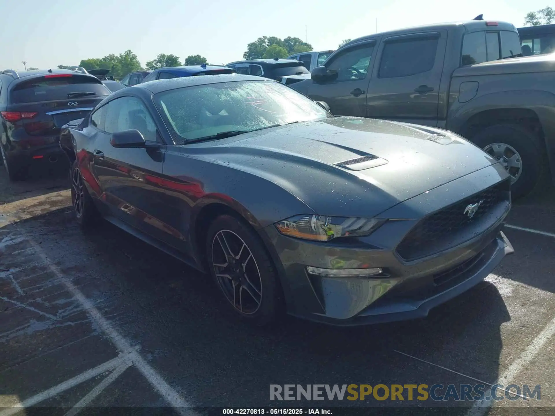 13 fotografías del automóvil dañado 1F86B8TH3K5173920 FORD MUSTANG 2019