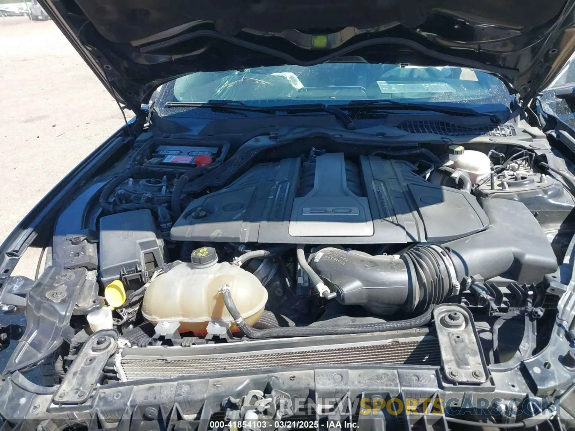 10 fotografías del automóvil dañado 1FA6P8CF1K5146942 FORD MUSTANG 2019