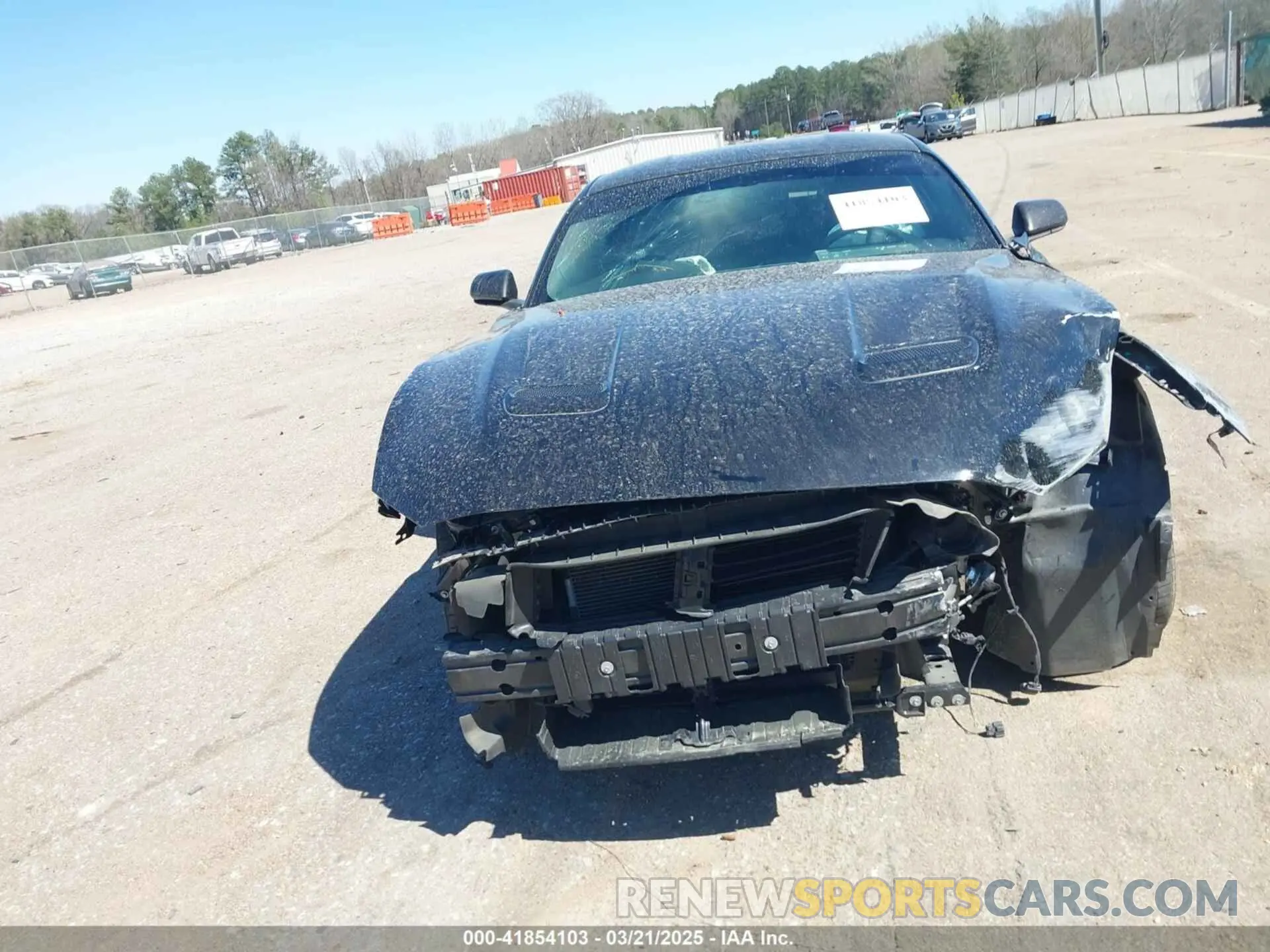 13 fotografías del automóvil dañado 1FA6P8CF1K5146942 FORD MUSTANG 2019