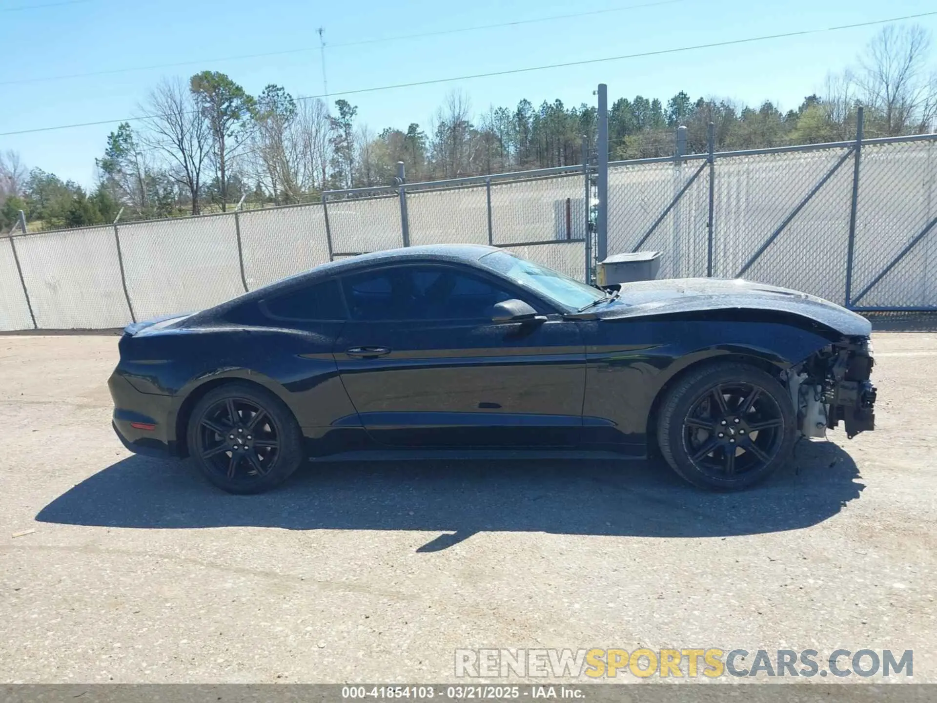 14 fotografías del automóvil dañado 1FA6P8CF1K5146942 FORD MUSTANG 2019