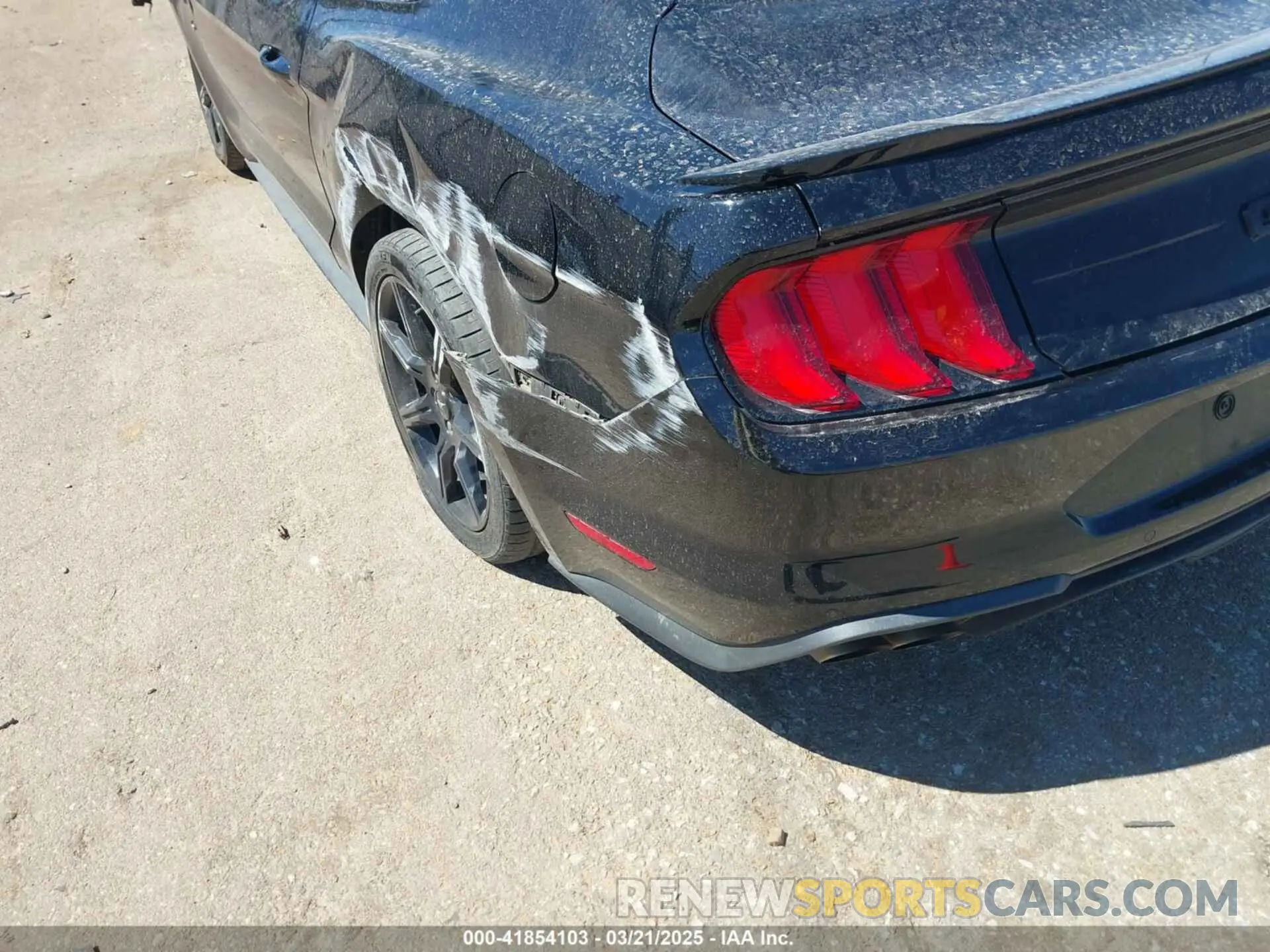 21 fotografías del automóvil dañado 1FA6P8CF1K5146942 FORD MUSTANG 2019