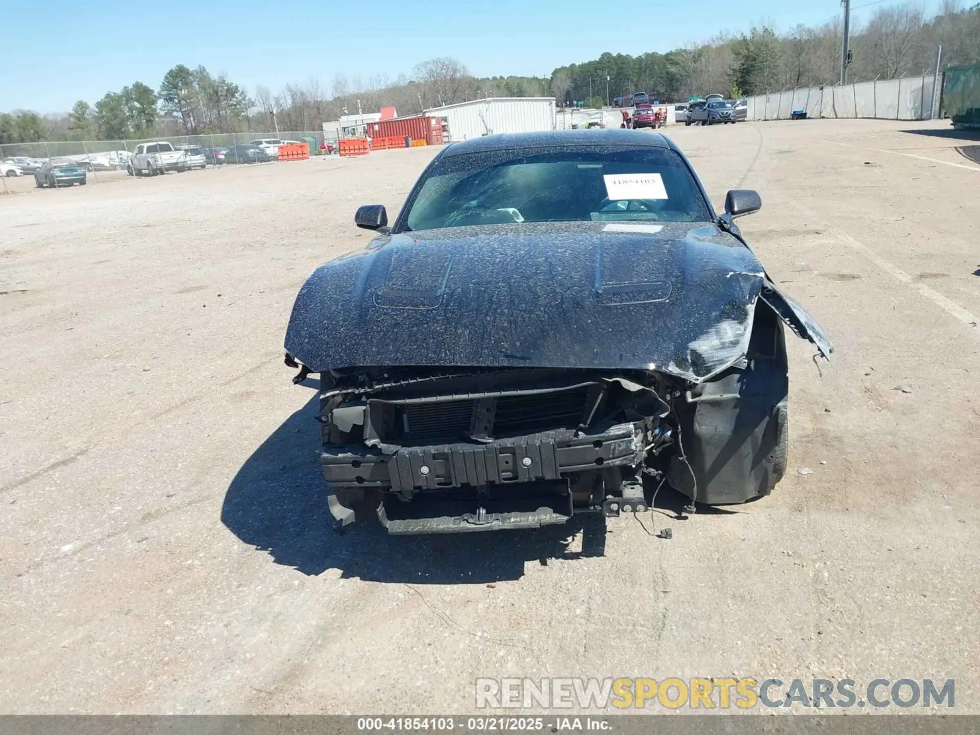 6 fotografías del automóvil dañado 1FA6P8CF1K5146942 FORD MUSTANG 2019