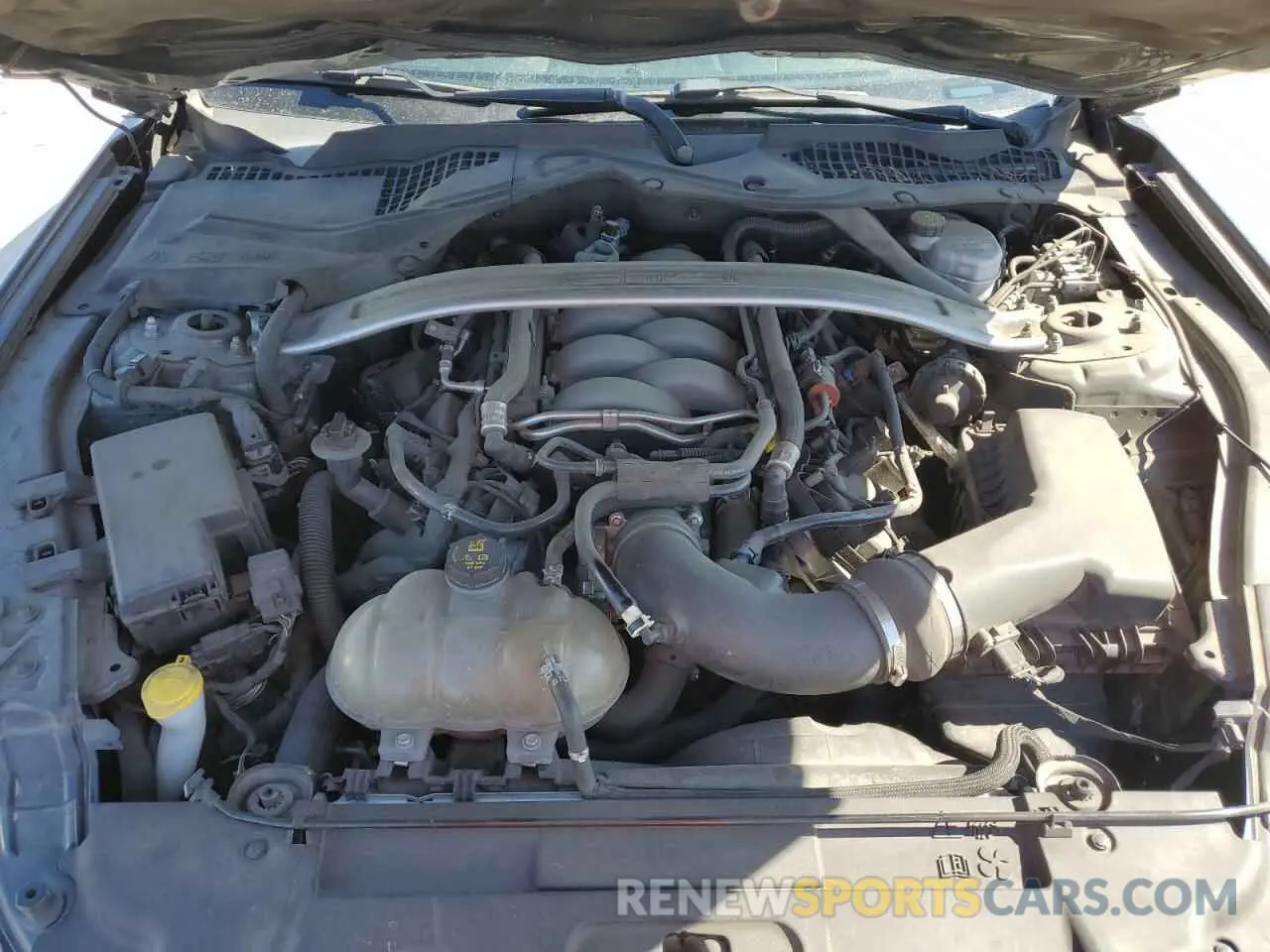 11 fotografías del automóvil dañado 1FA6P8CF1K5168794 FORD MUSTANG 2019