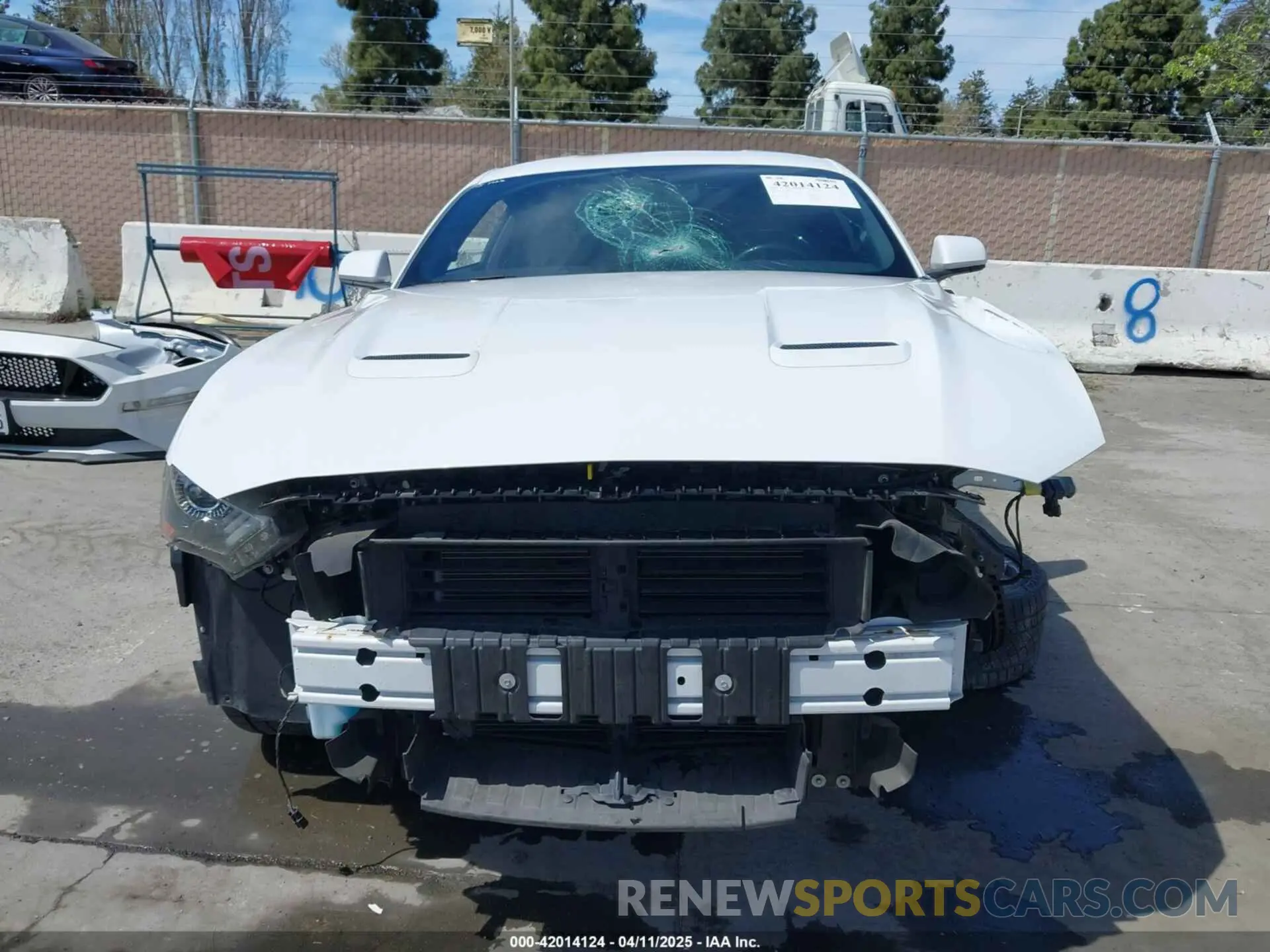 12 fotografías del automóvil dañado 1FA6P8CF2K5169663 FORD MUSTANG 2019