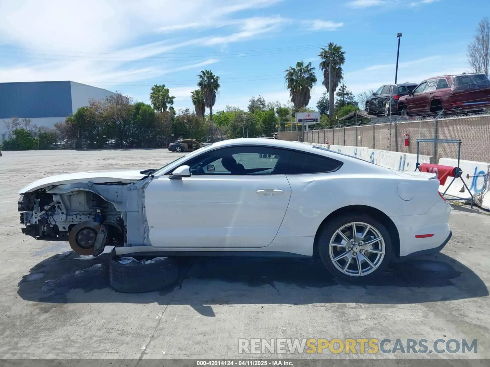 14 fotografías del automóvil dañado 1FA6P8CF2K5169663 FORD MUSTANG 2019
