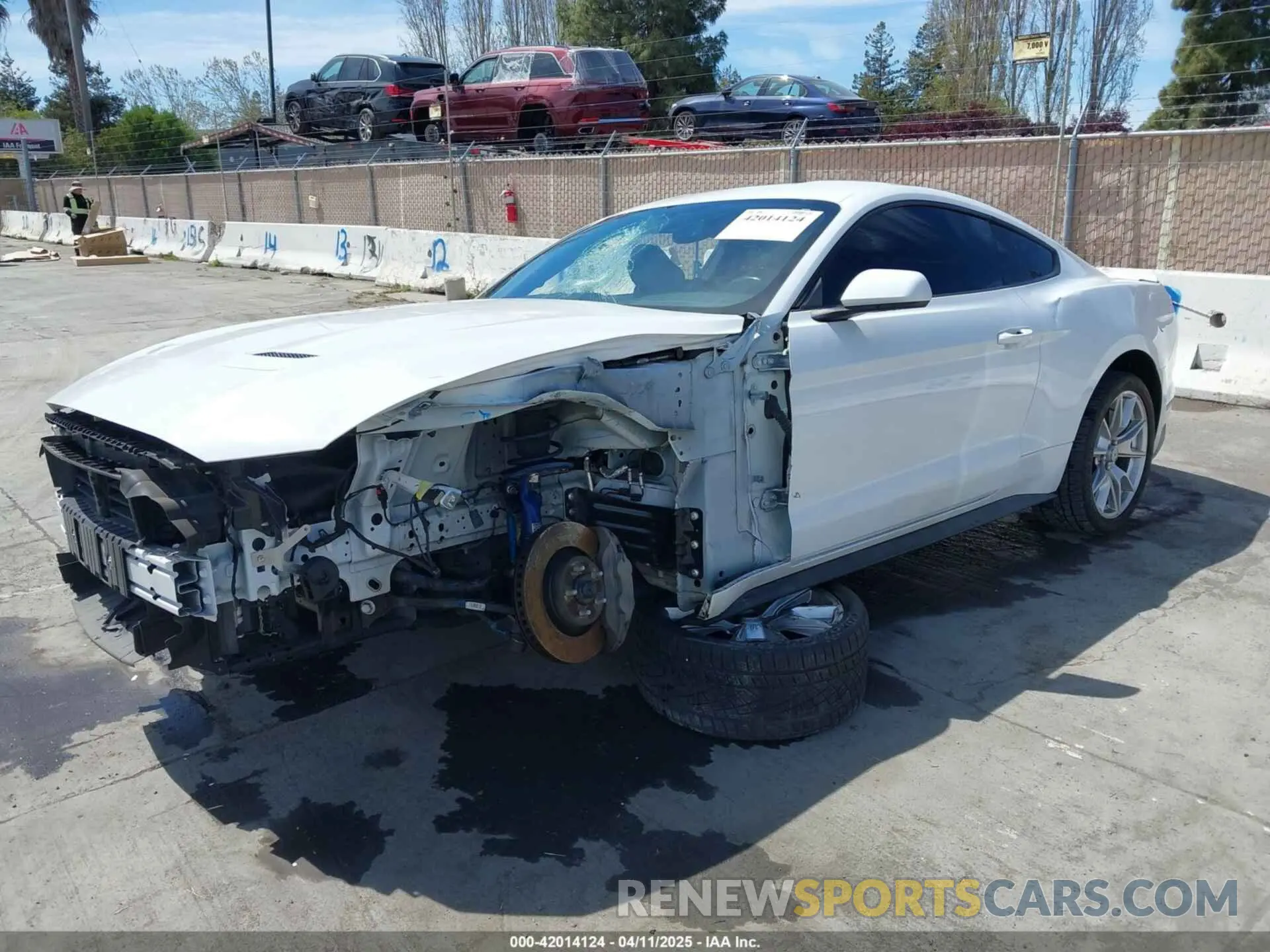 2 fotografías del automóvil dañado 1FA6P8CF2K5169663 FORD MUSTANG 2019