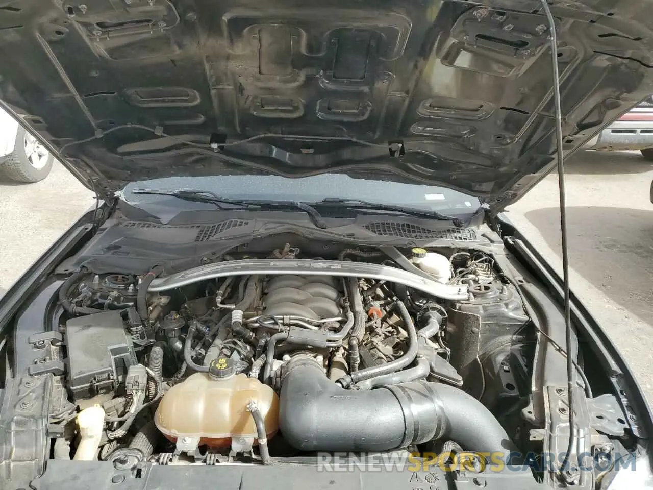 11 fotografías del automóvil dañado 1FA6P8CF3K5130158 FORD MUSTANG 2019