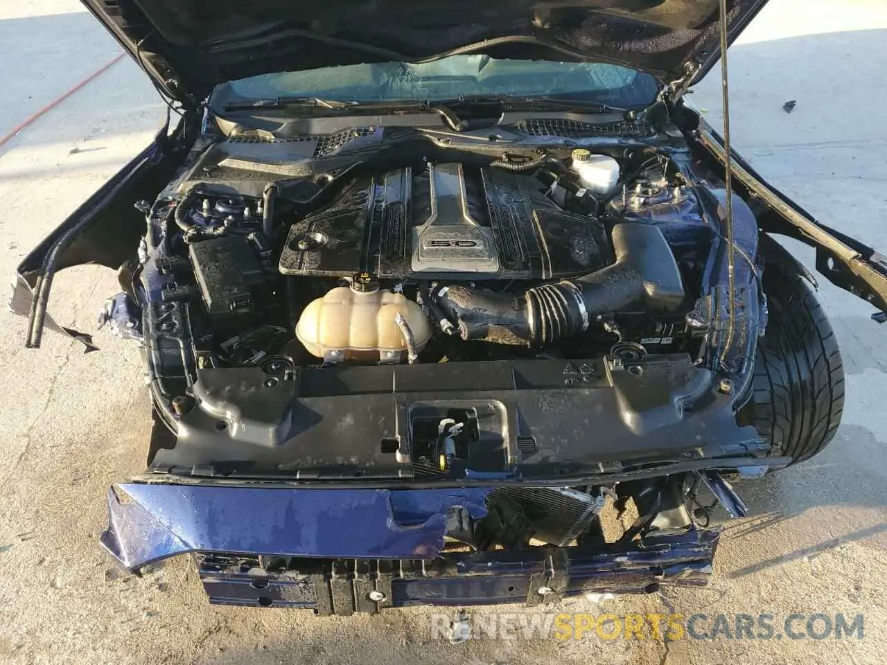 11 fotografías del automóvil dañado 1FA6P8CF3K5153889 FORD MUSTANG 2019