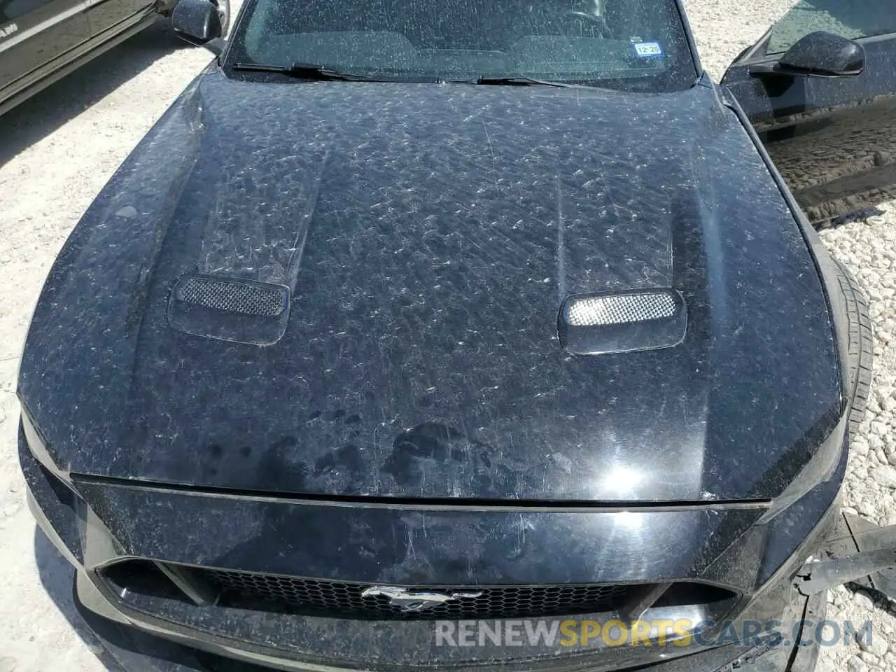 11 fotografías del automóvil dañado 1FA6P8CF3K5186276 FORD MUSTANG 2019