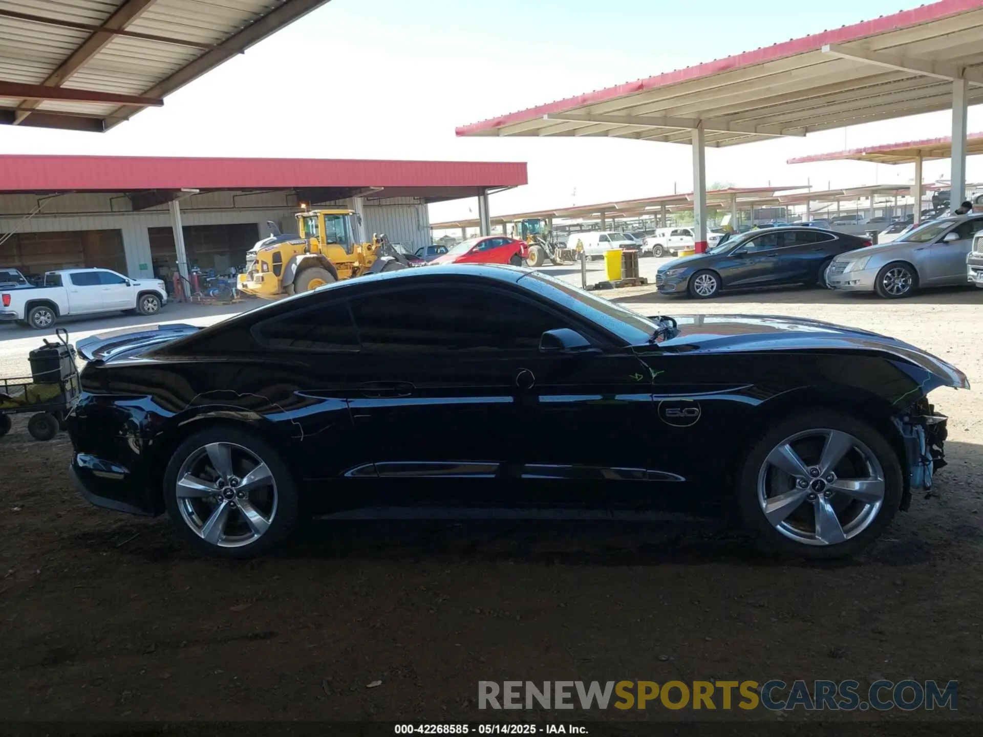 14 fotografías del automóvil dañado 1FA6P8CF4K5120688 FORD MUSTANG 2019
