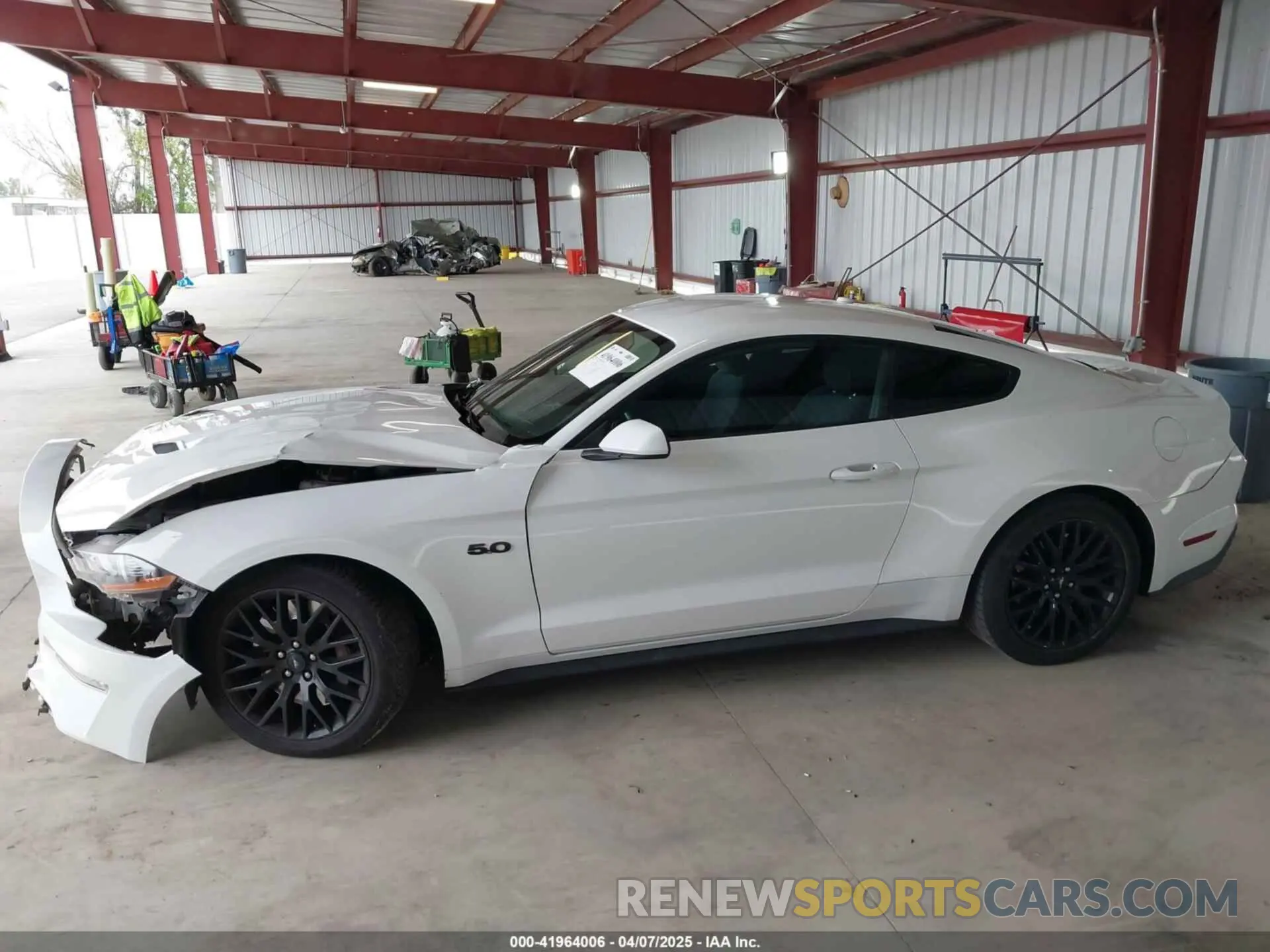 14 fotografías del automóvil dañado 1FA6P8CF4K5122361 FORD MUSTANG 2019