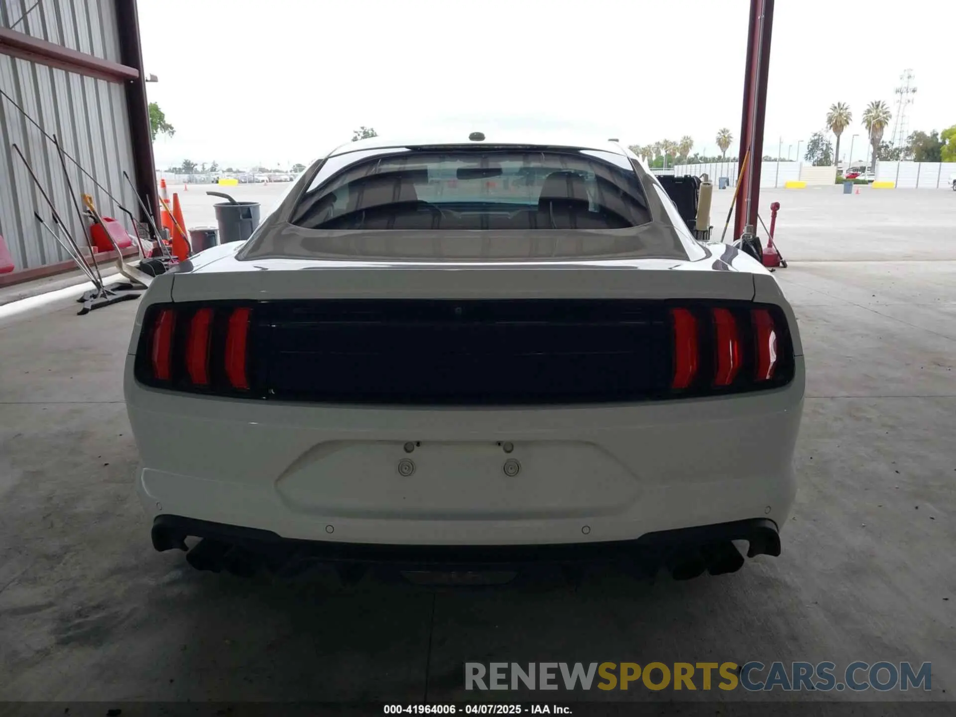 16 fotografías del automóvil dañado 1FA6P8CF4K5122361 FORD MUSTANG 2019
