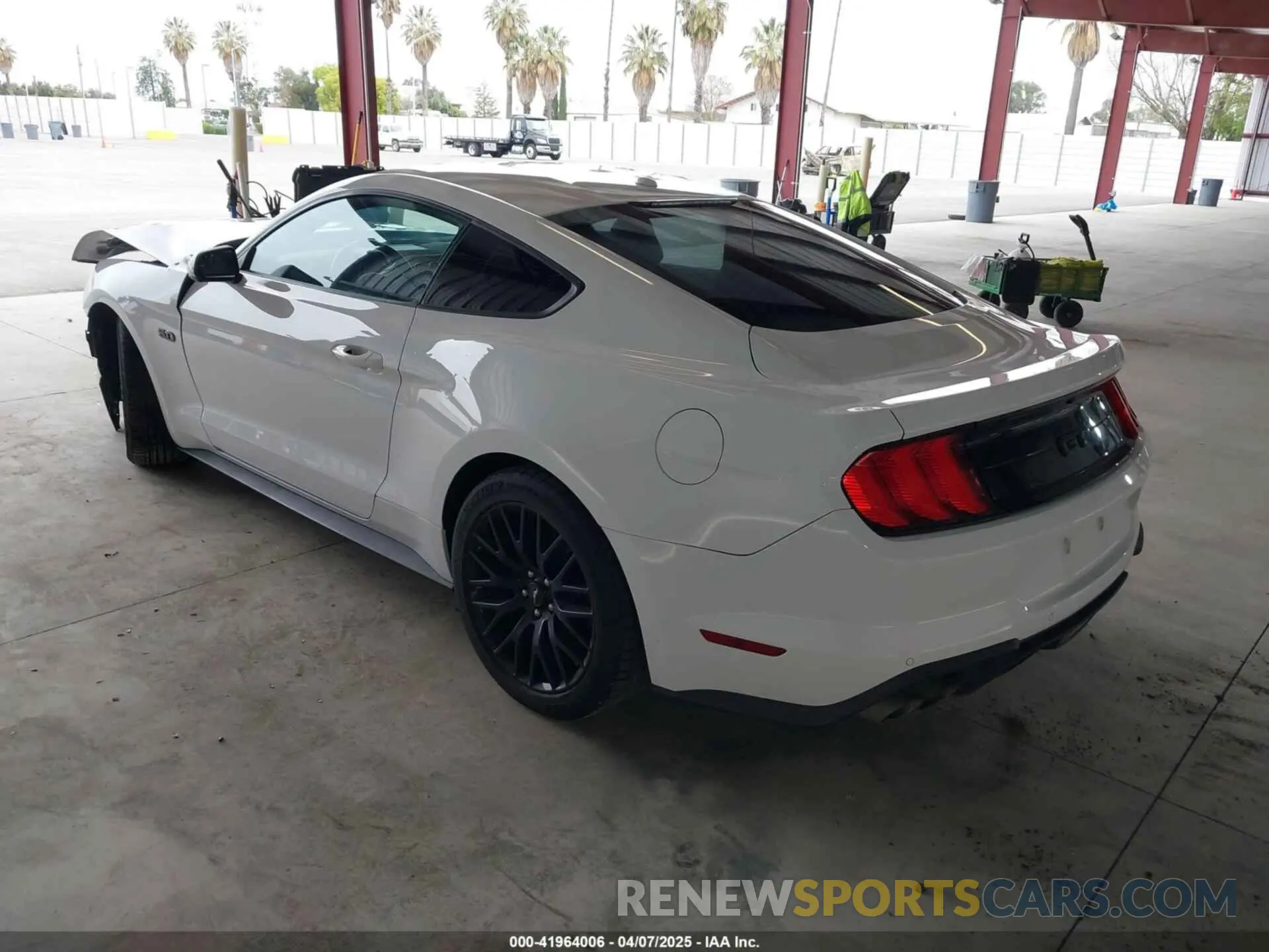 3 fotografías del automóvil dañado 1FA6P8CF4K5122361 FORD MUSTANG 2019