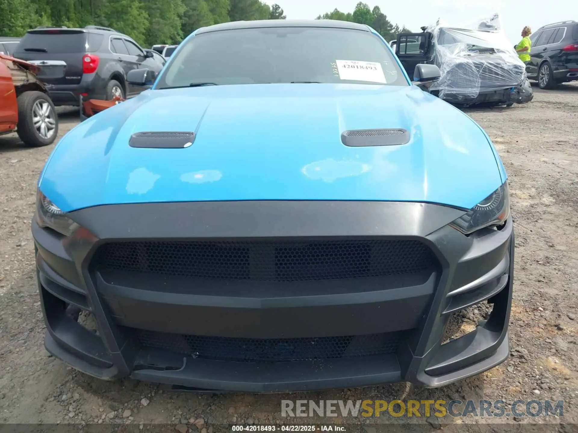 13 fotografías del automóvil dañado 1FA6P8CF4K5144134 FORD MUSTANG 2019