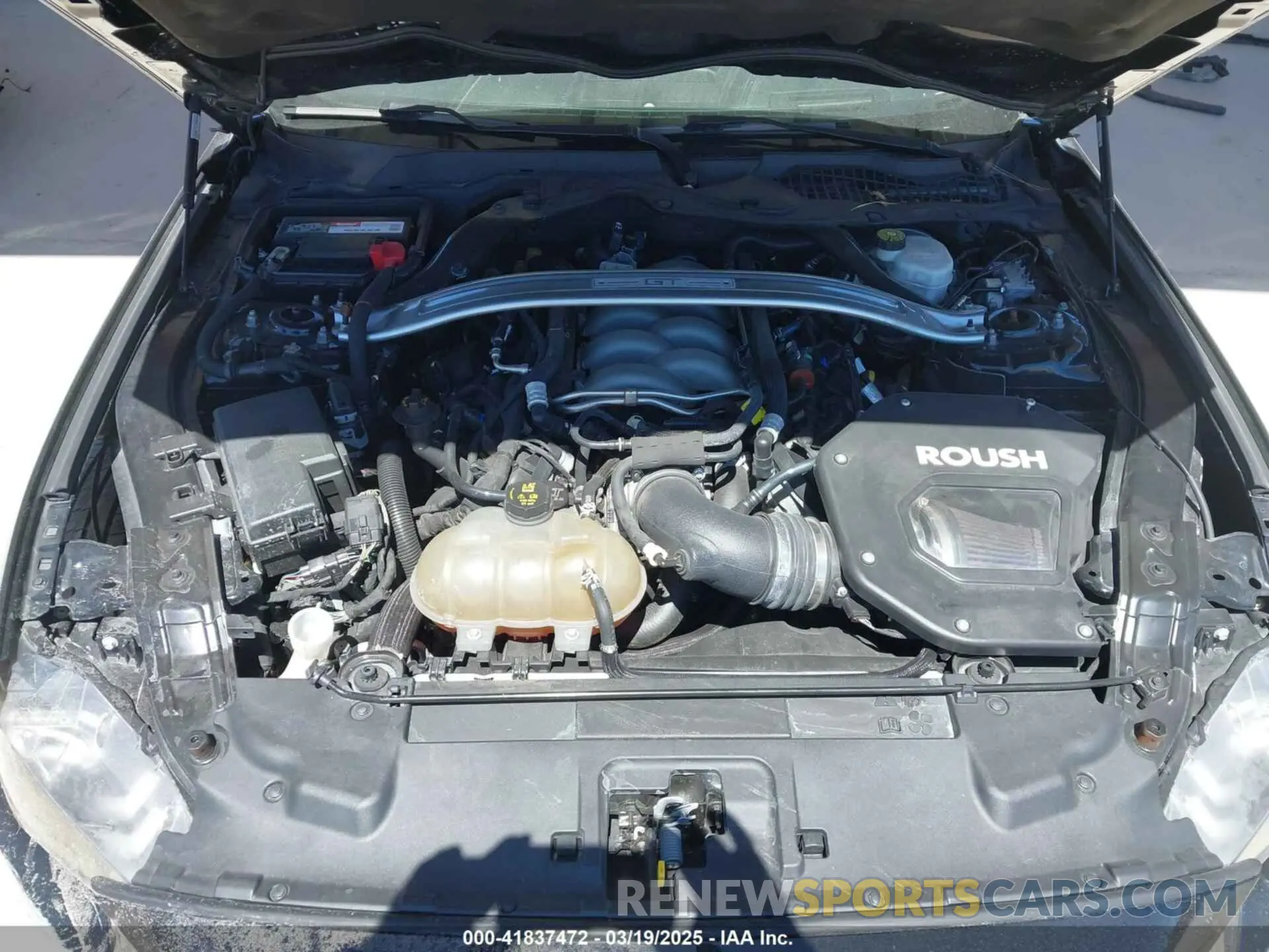 10 fotografías del automóvil dañado 1FA6P8CF4K5147017 FORD MUSTANG 2019