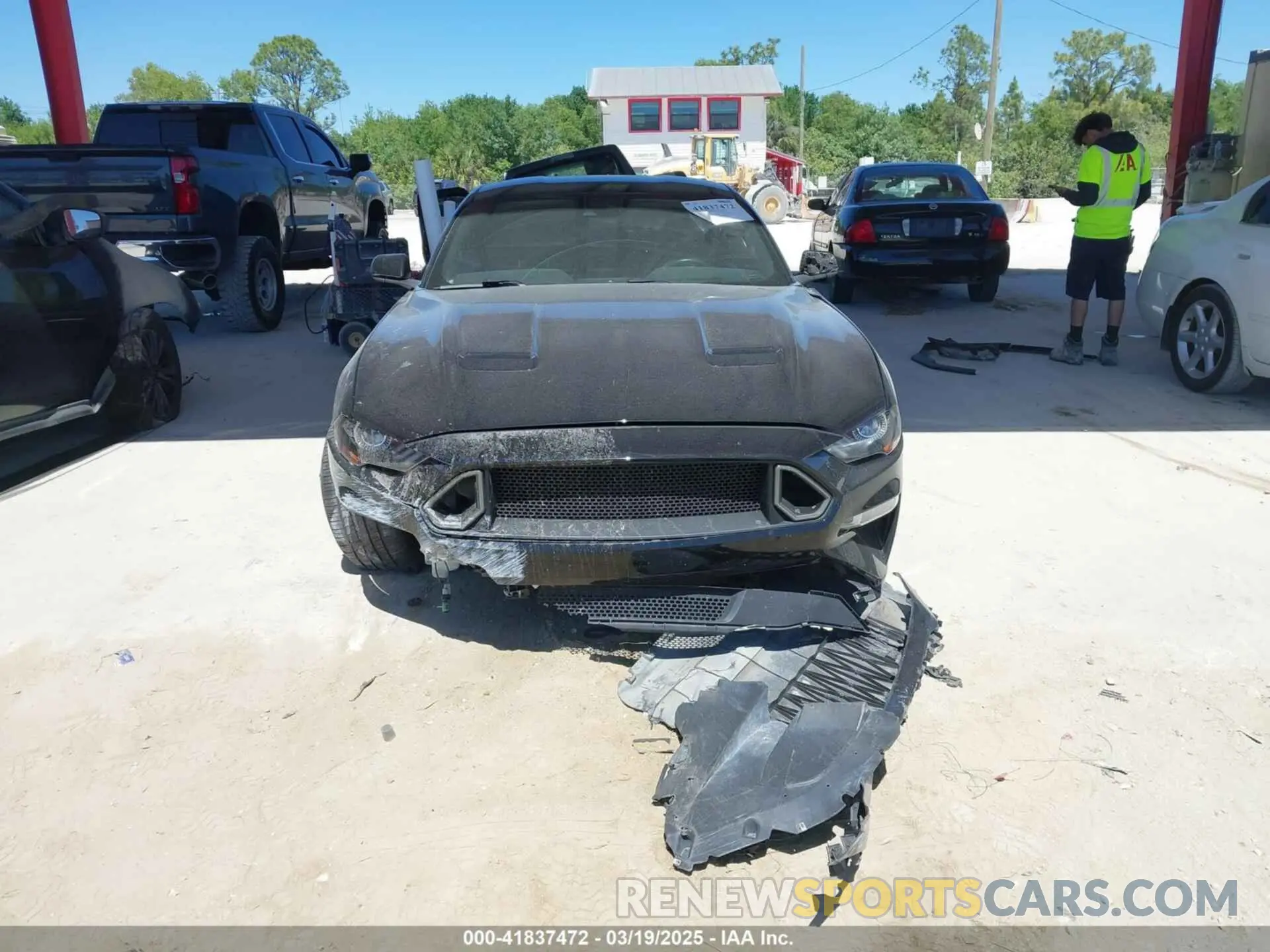12 fotografías del automóvil dañado 1FA6P8CF4K5147017 FORD MUSTANG 2019