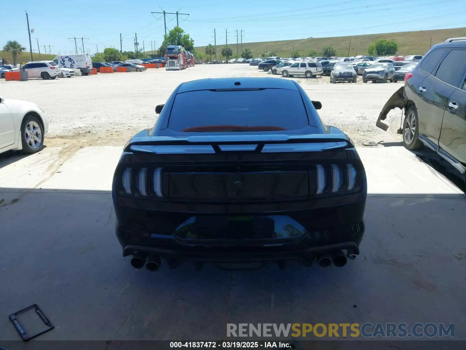 16 fotografías del automóvil dañado 1FA6P8CF4K5147017 FORD MUSTANG 2019