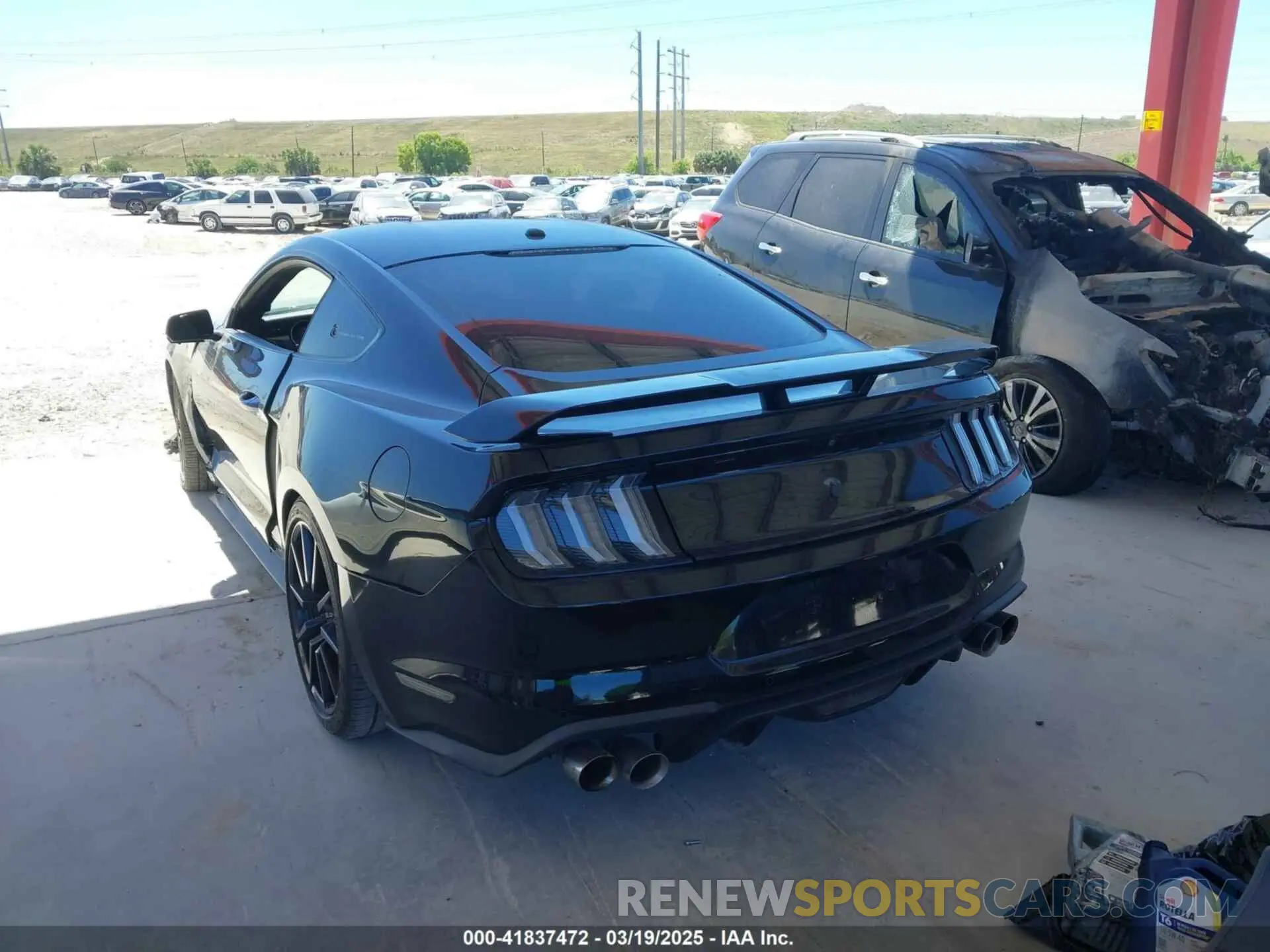 3 fotografías del automóvil dañado 1FA6P8CF4K5147017 FORD MUSTANG 2019