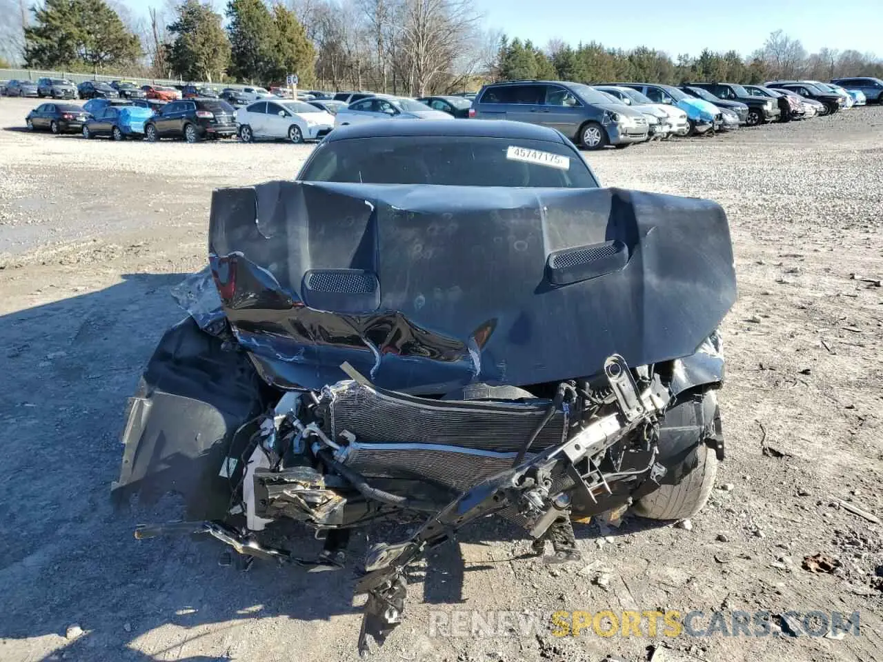 5 fotografías del automóvil dañado 1FA6P8CF4K5166246 FORD MUSTANG 2019