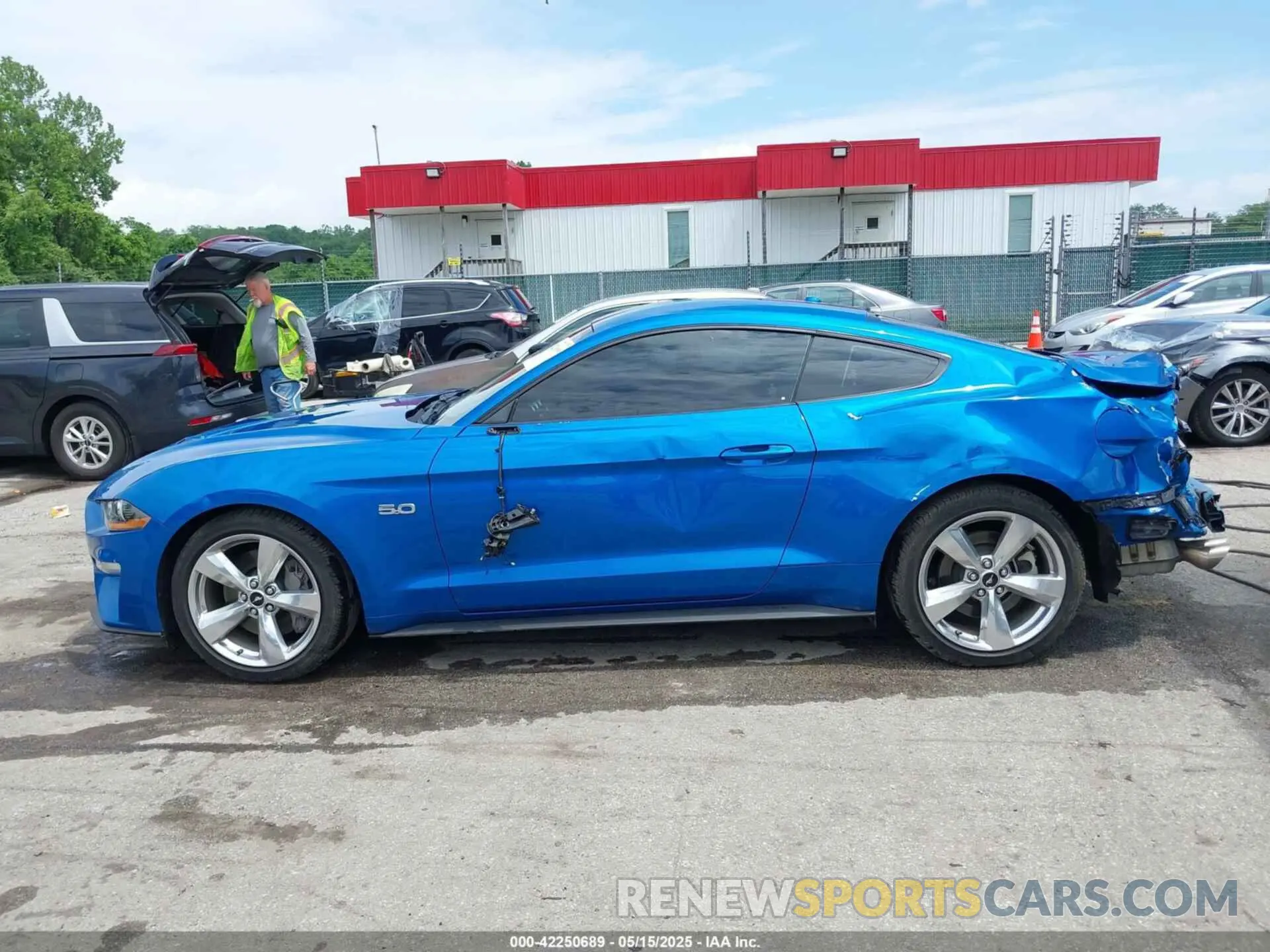 14 fotografías del automóvil dañado 1FA6P8CF4K5180728 FORD MUSTANG 2019
