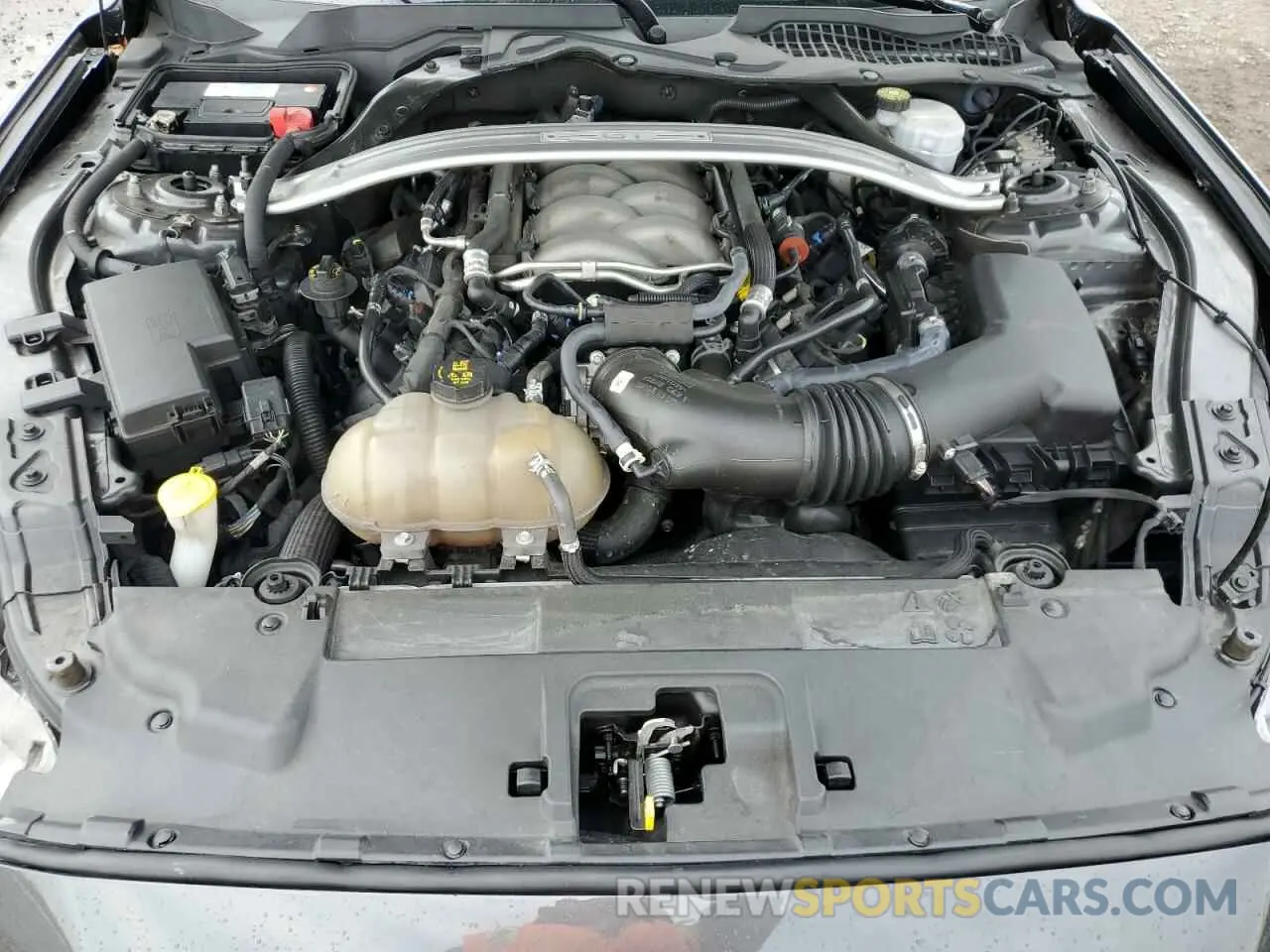 12 fotografías del automóvil dañado 1FA6P8CF4K5195312 FORD MUSTANG 2019