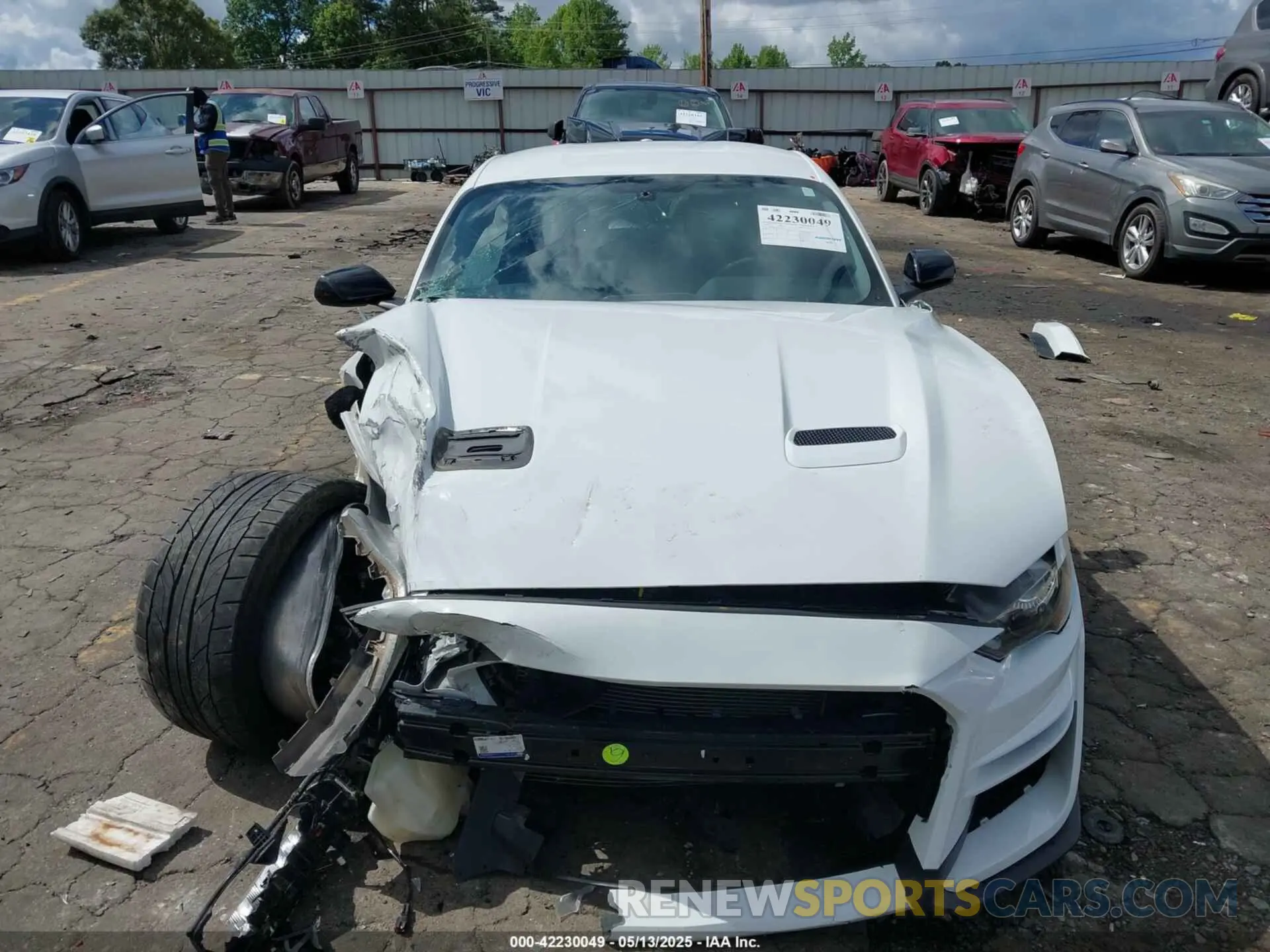 12 fotografías del automóvil dañado 1FA6P8CF4K5203151 FORD MUSTANG 2019