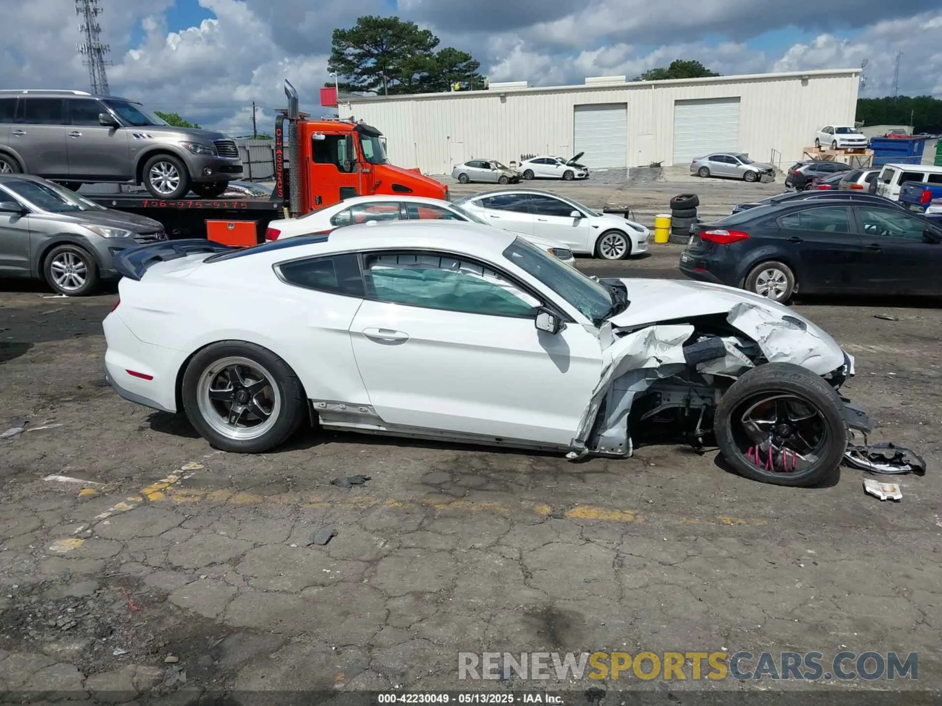 13 fotografías del automóvil dañado 1FA6P8CF4K5203151 FORD MUSTANG 2019