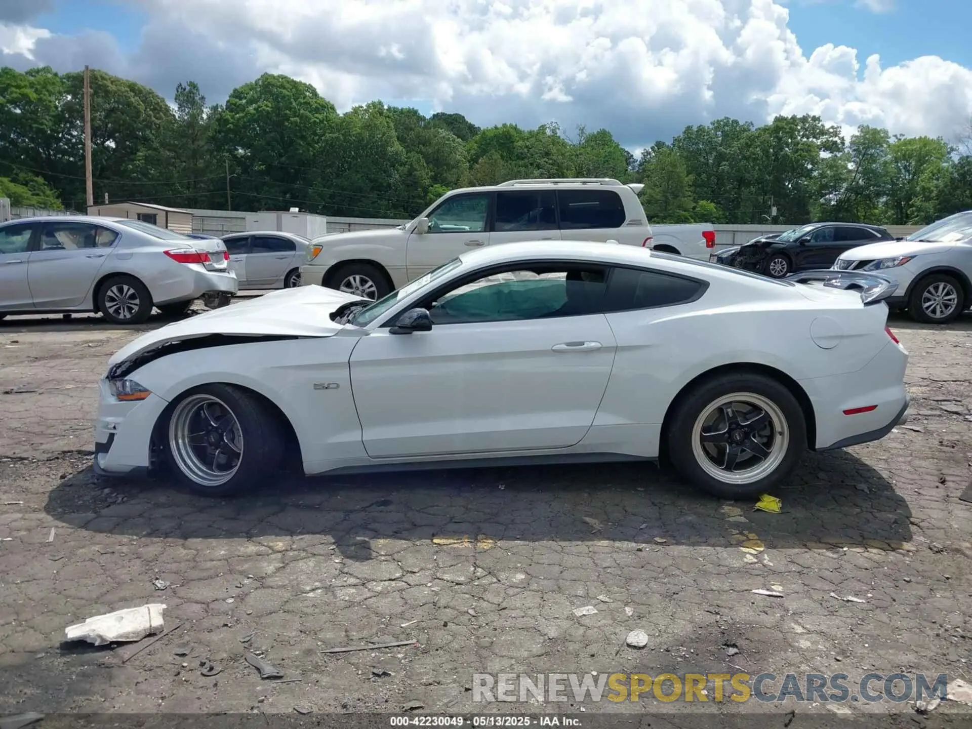 14 fotografías del automóvil dañado 1FA6P8CF4K5203151 FORD MUSTANG 2019