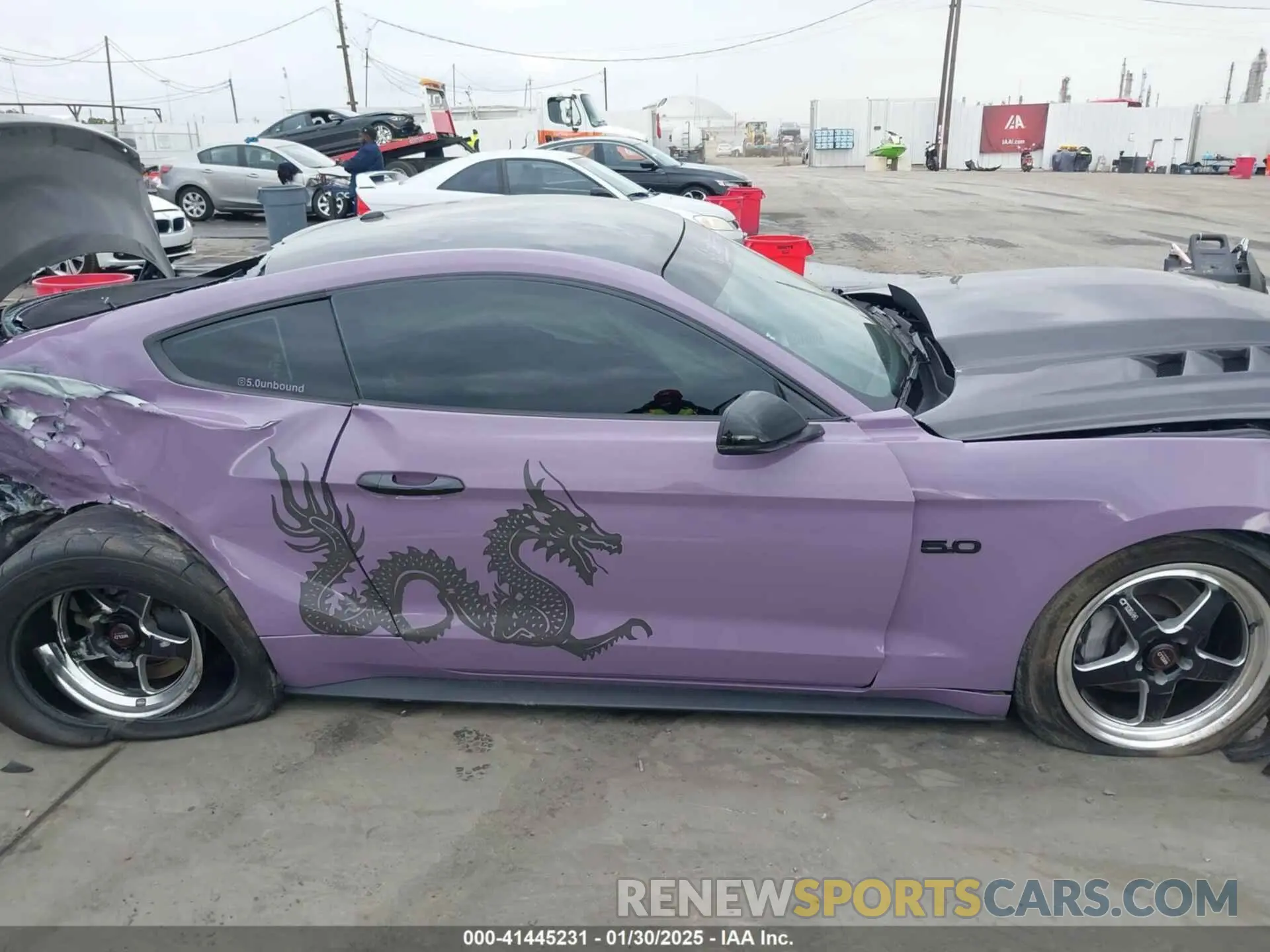 13 fotografías del automóvil dañado 1FA6P8CF5K5168135 FORD MUSTANG 2019