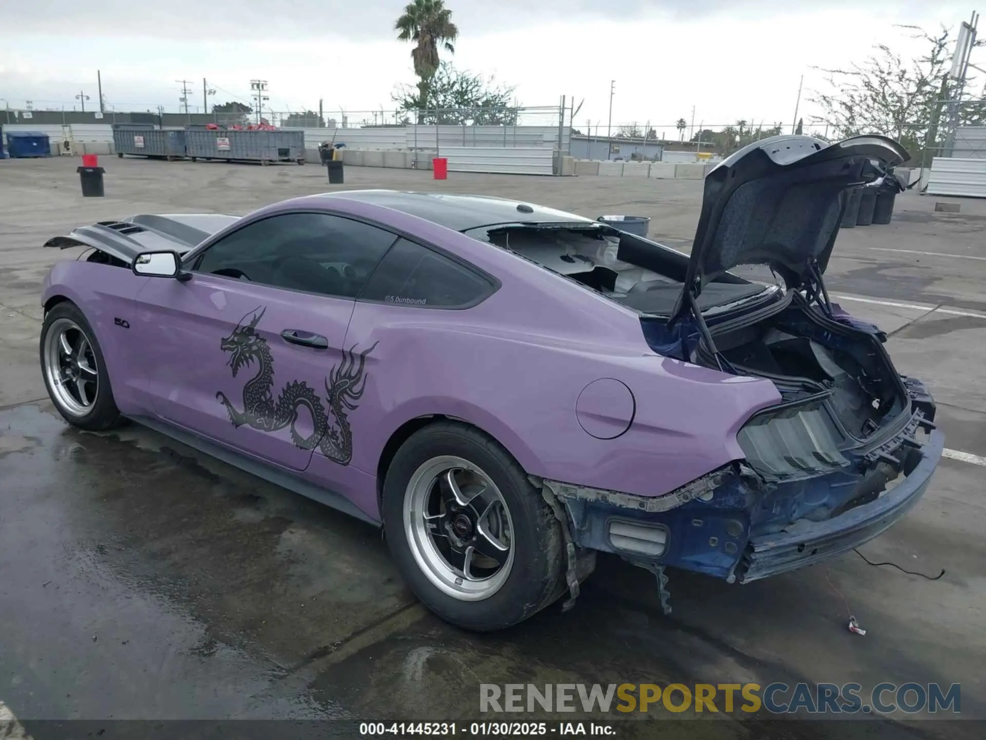 3 fotografías del automóvil dañado 1FA6P8CF5K5168135 FORD MUSTANG 2019