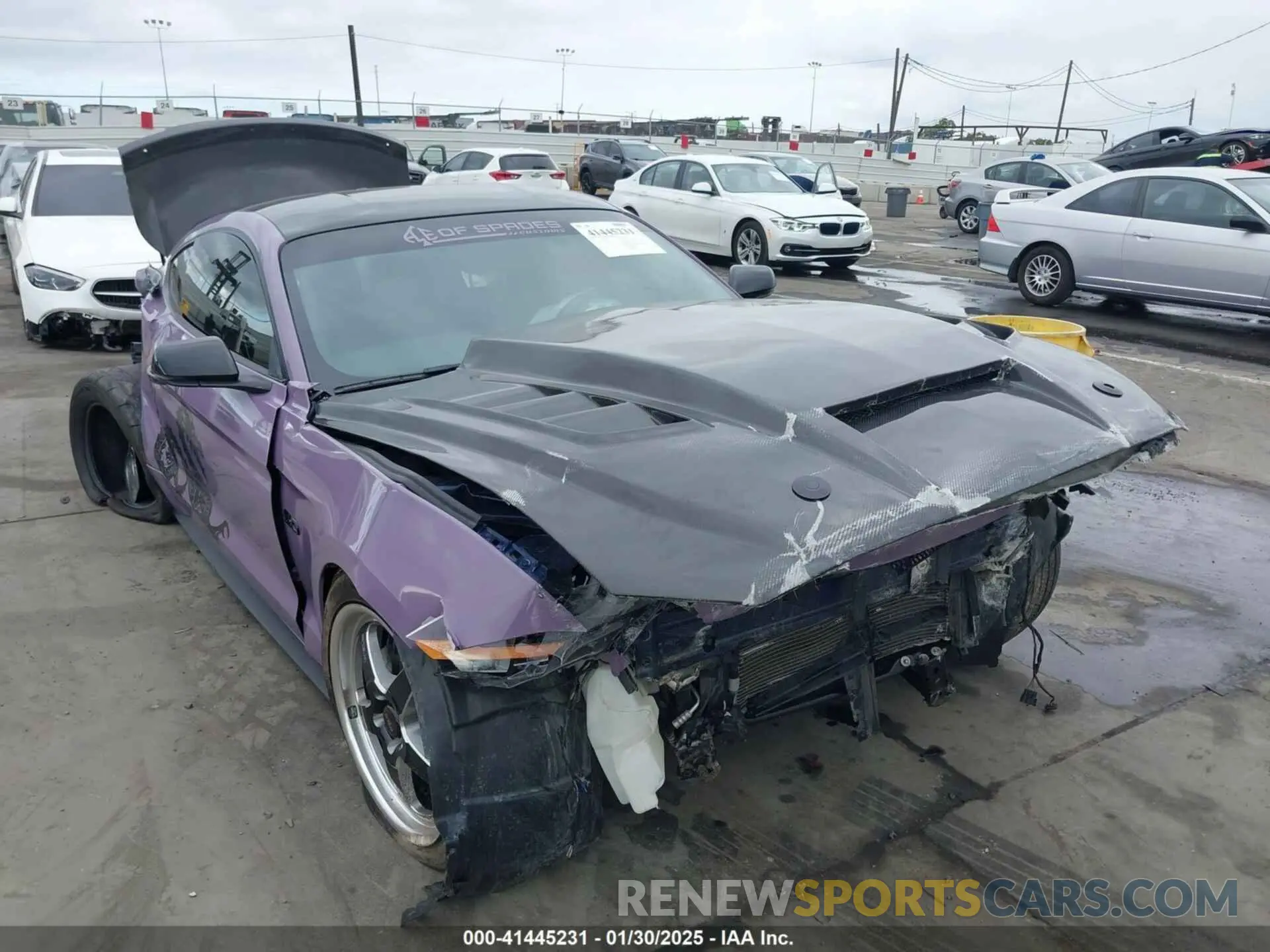 6 fotografías del automóvil dañado 1FA6P8CF5K5168135 FORD MUSTANG 2019