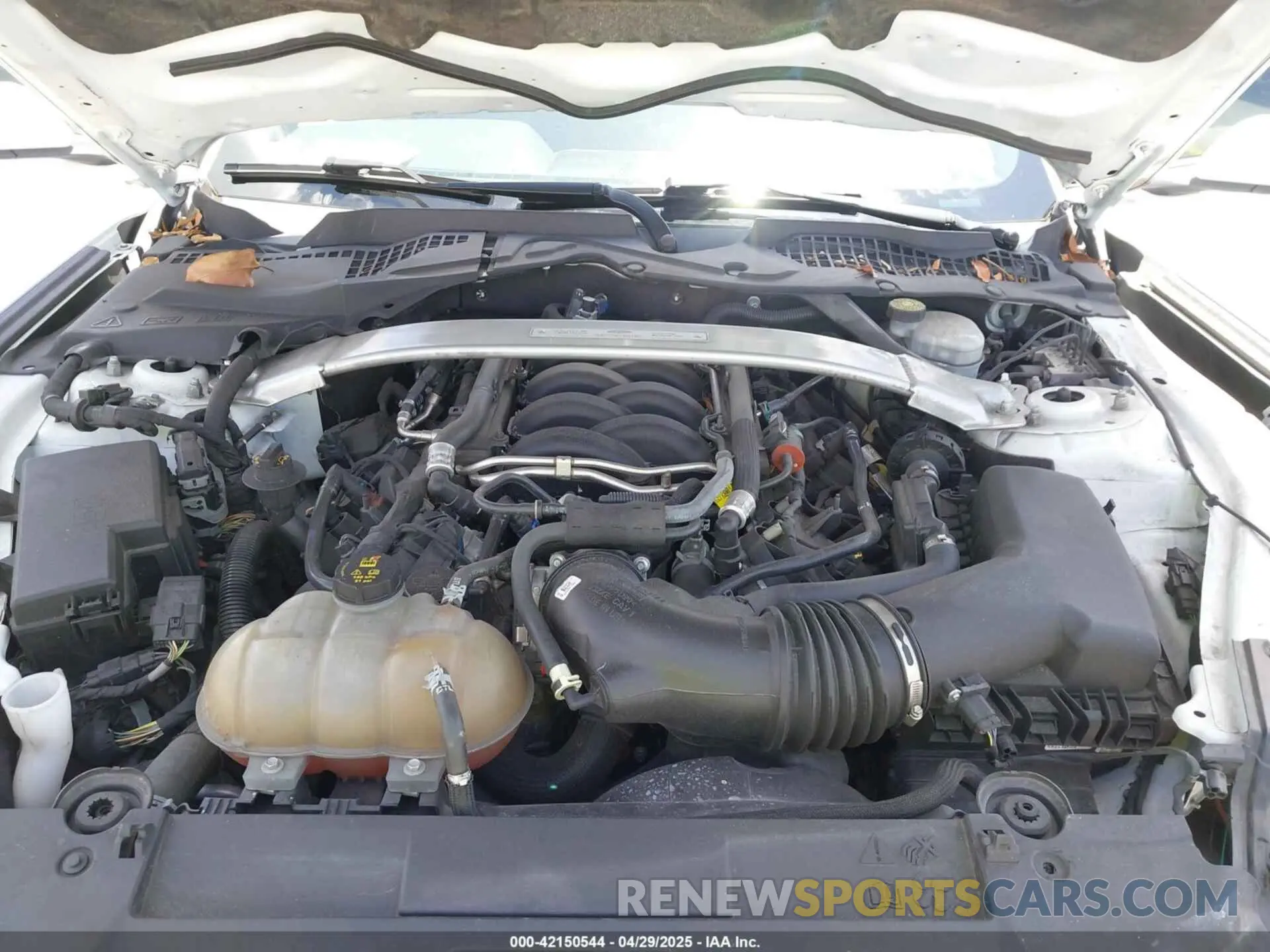 10 fotografías del automóvil dañado 1FA6P8CF6K5121986 FORD MUSTANG 2019