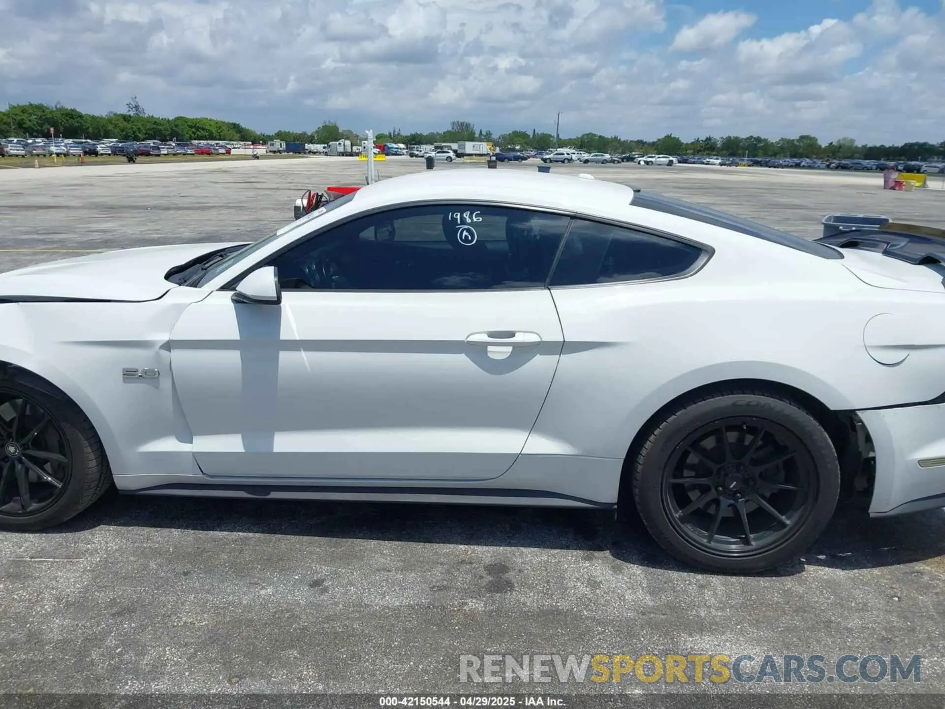 14 fotografías del automóvil dañado 1FA6P8CF6K5121986 FORD MUSTANG 2019