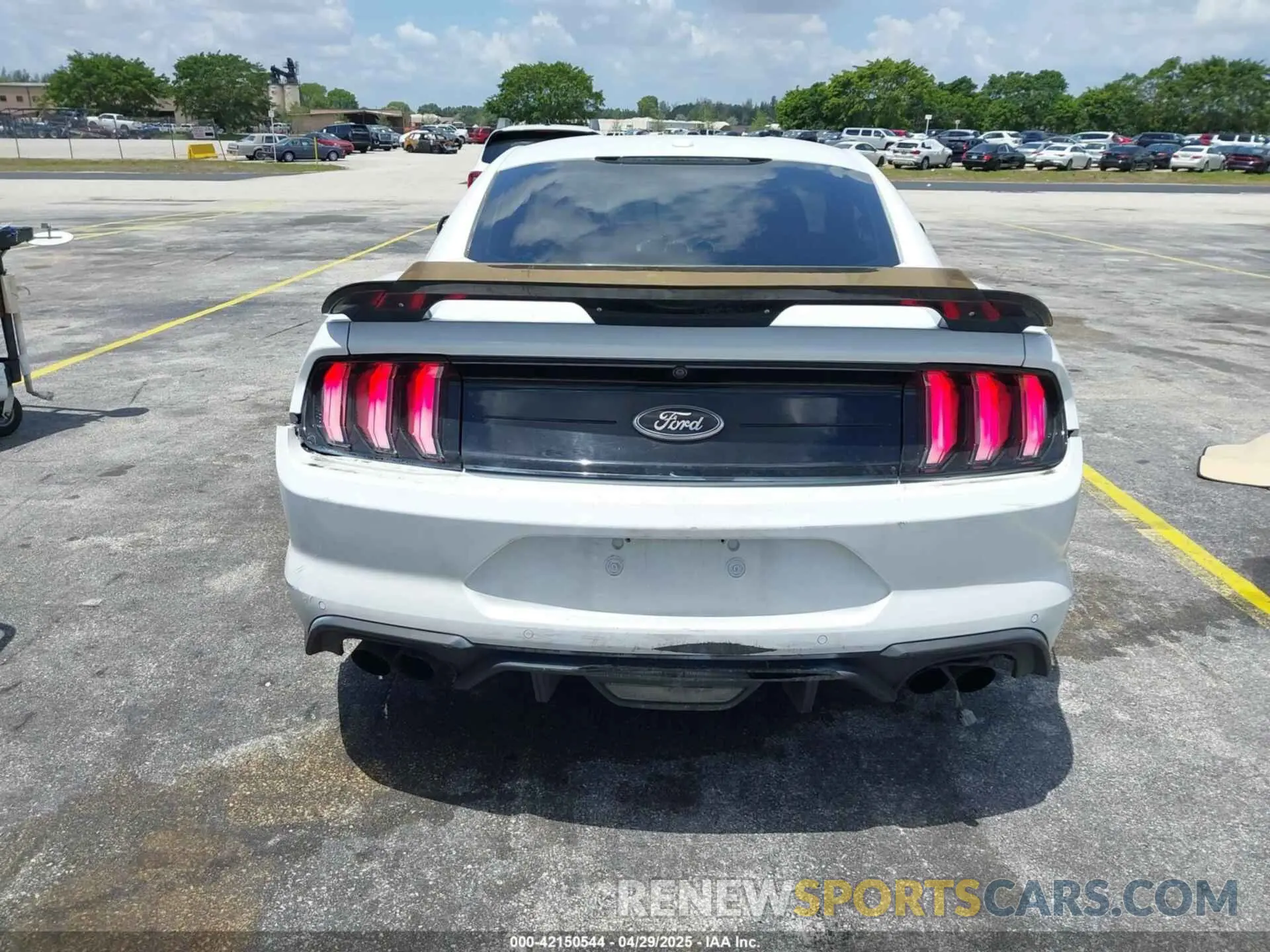 16 fotografías del automóvil dañado 1FA6P8CF6K5121986 FORD MUSTANG 2019