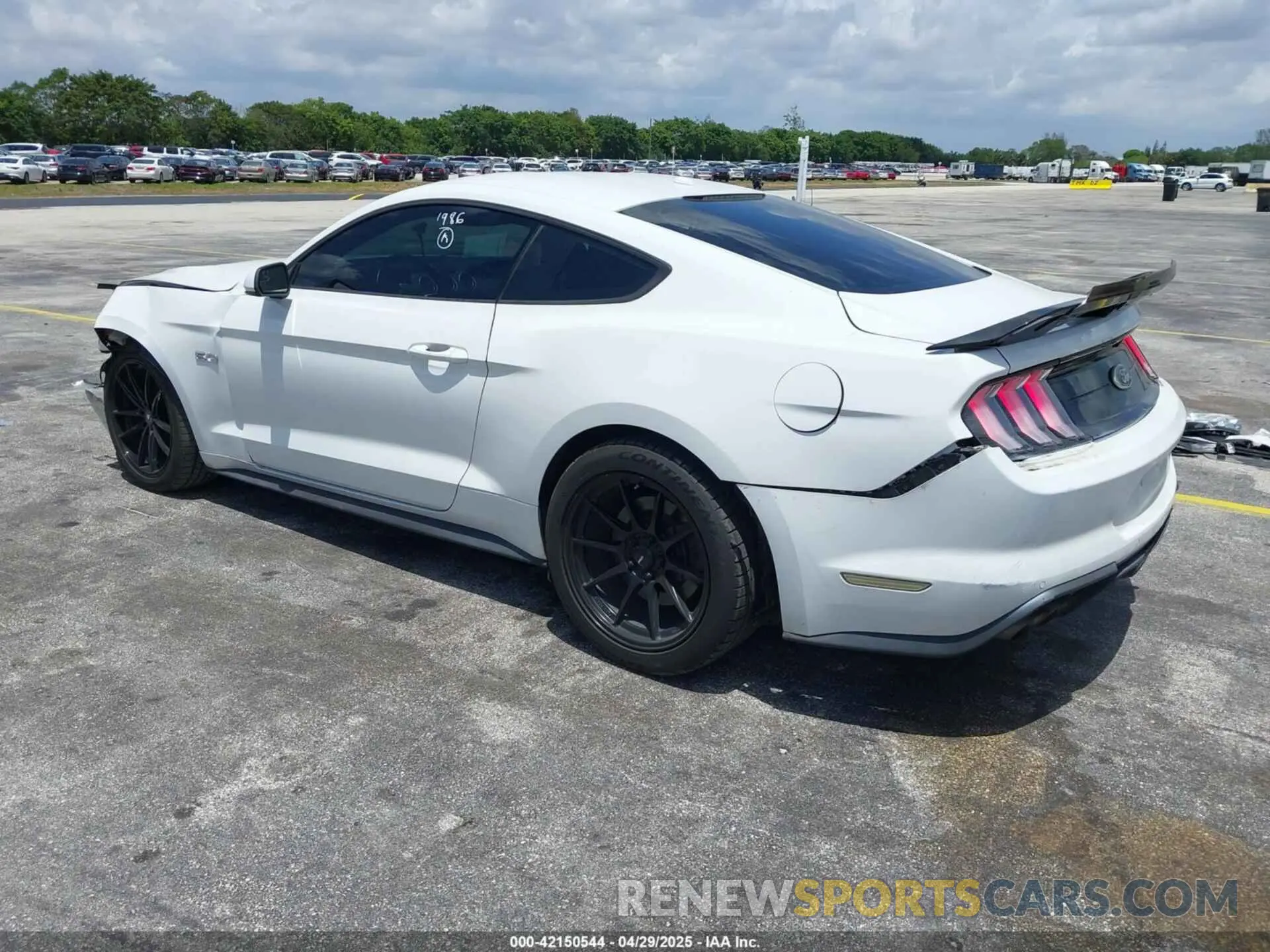 3 fotografías del automóvil dañado 1FA6P8CF6K5121986 FORD MUSTANG 2019